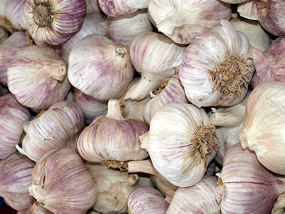 Viele Menschen lieben Knoblauch - nur hinterlässt die Knolle leider oft einen unangenehmen Geruch... mit diesen Tricks werden Sie den Duft aber schnell los.
