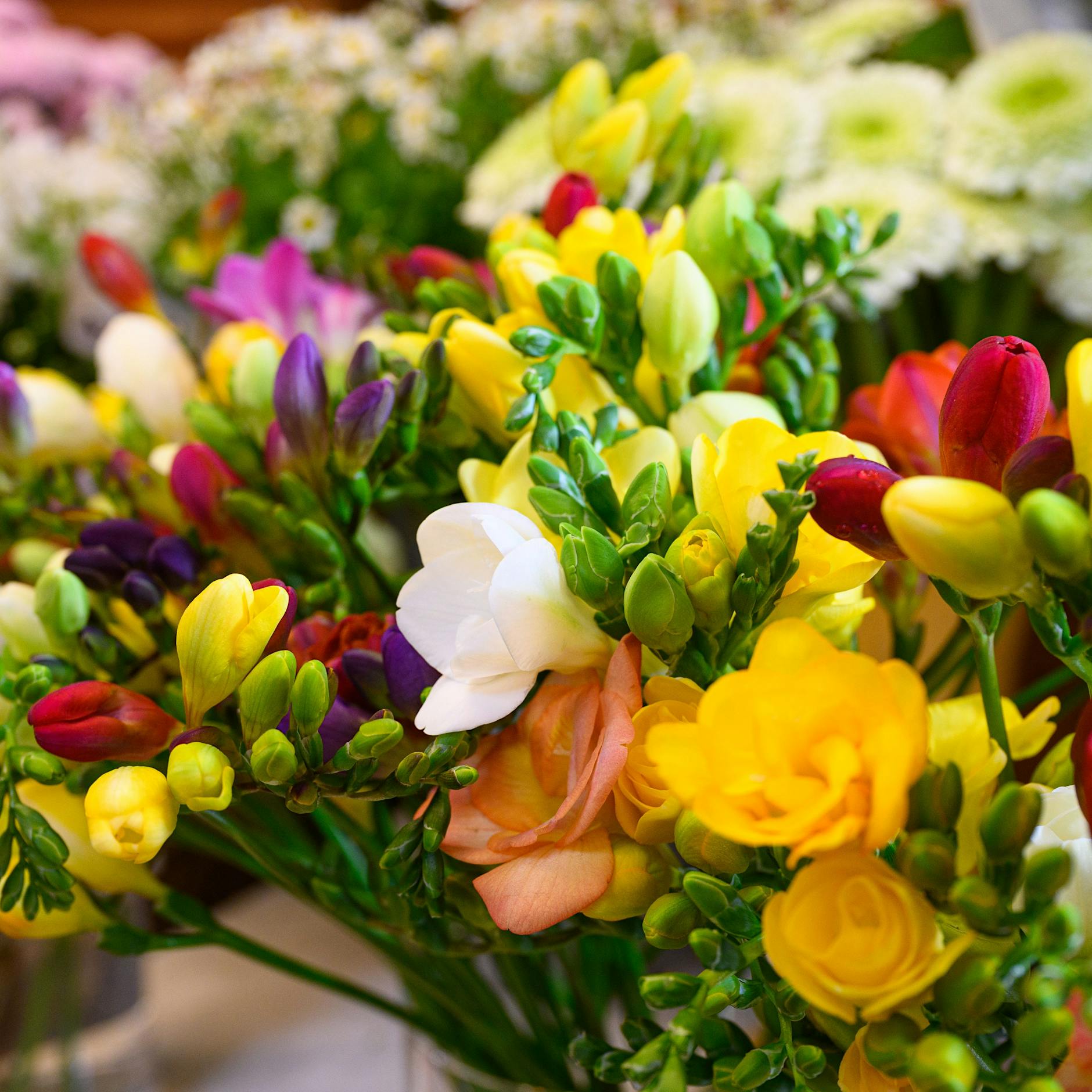 4 besondere Blumenläden in Berlin