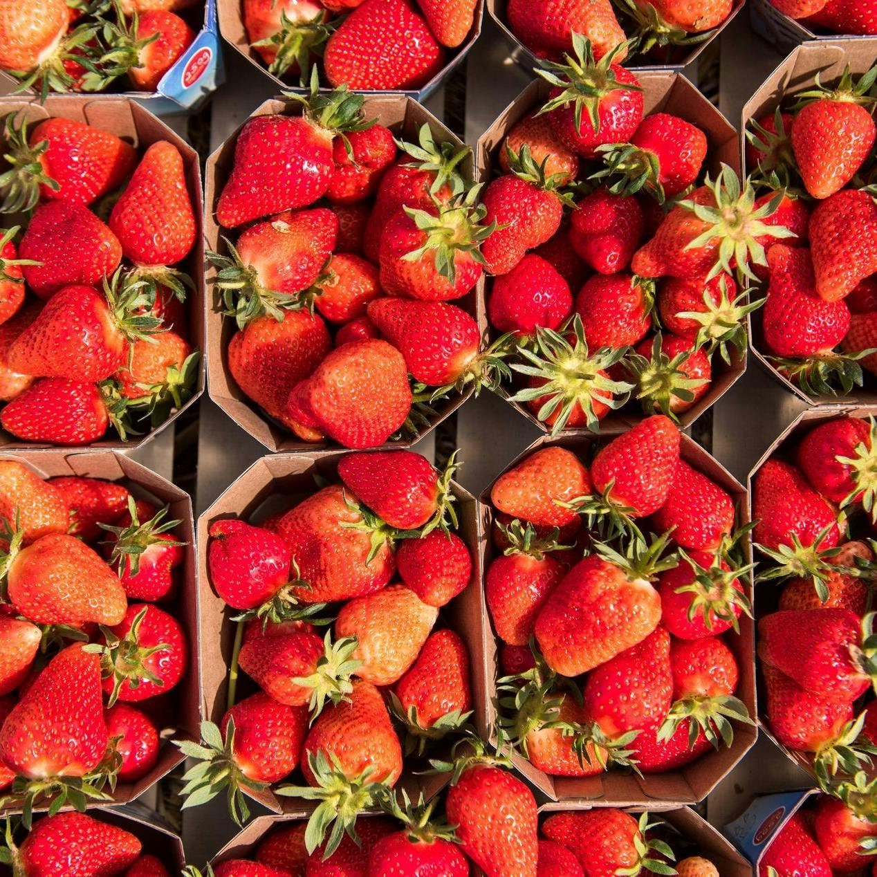 Es gibt ein Überangebot an Erdbeeren, dadurch sinken die Preise.