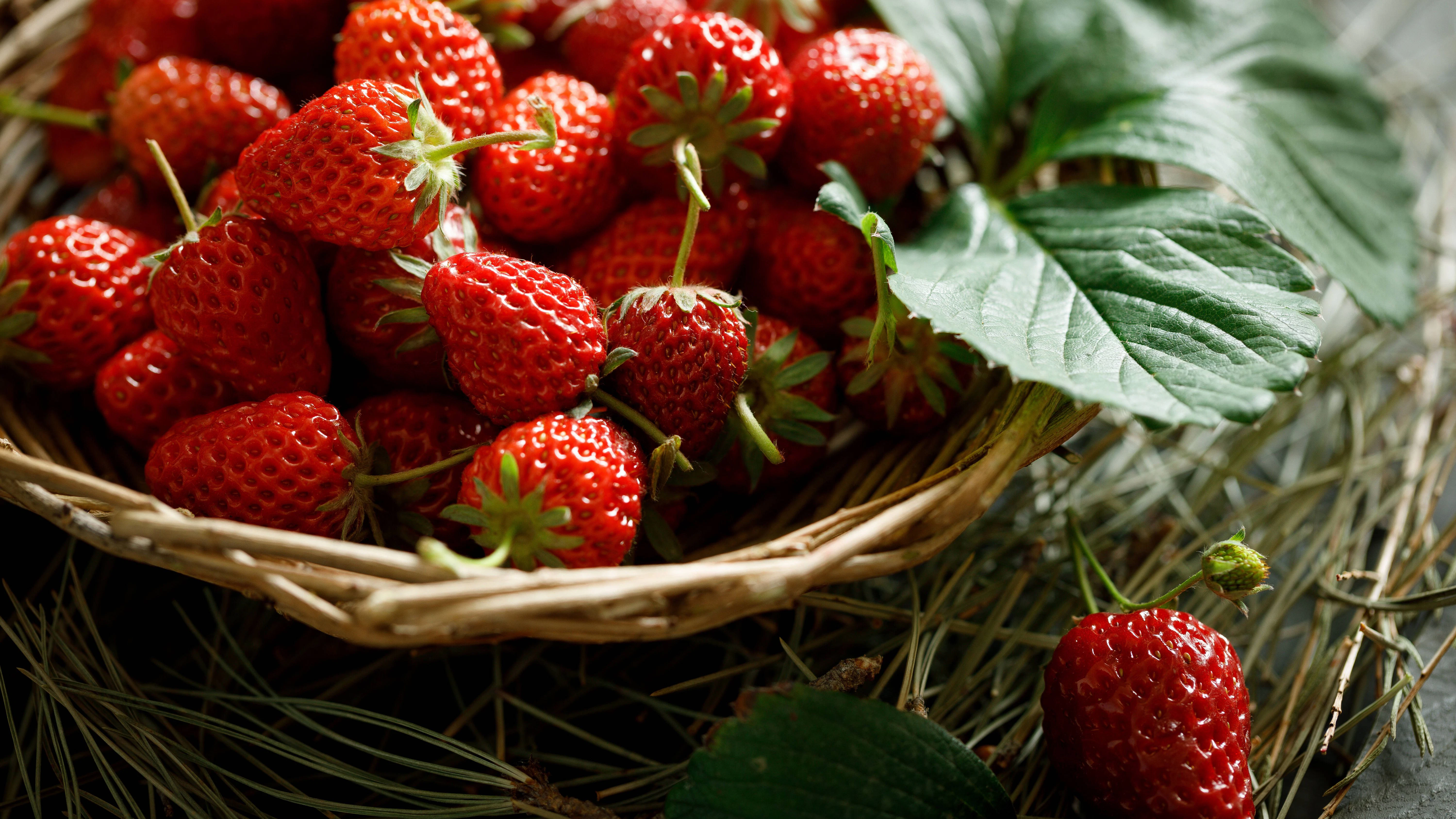Saftige Erdbeeren schmecken jedem - und mit diesem Rezept für Erdbeermarmelade haben Sie länger etwas von den roten Früchten.