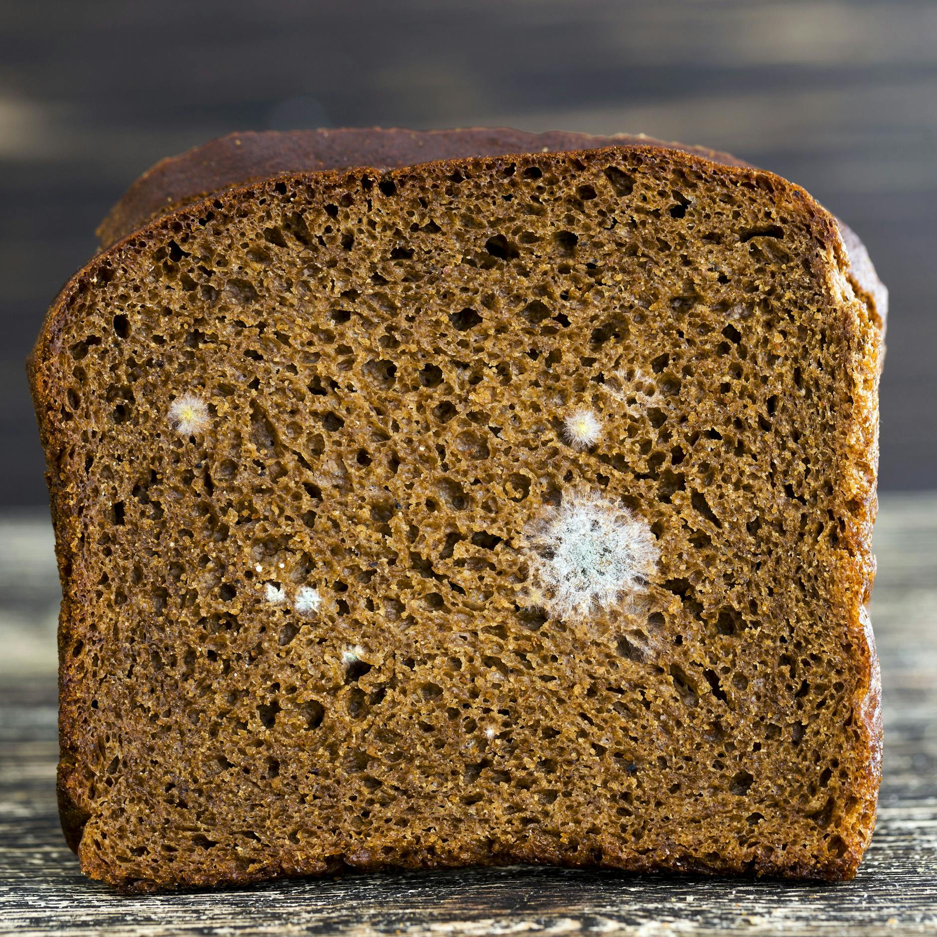 Damit Brot nicht schimmelt, muss es richtig gelagert werden.