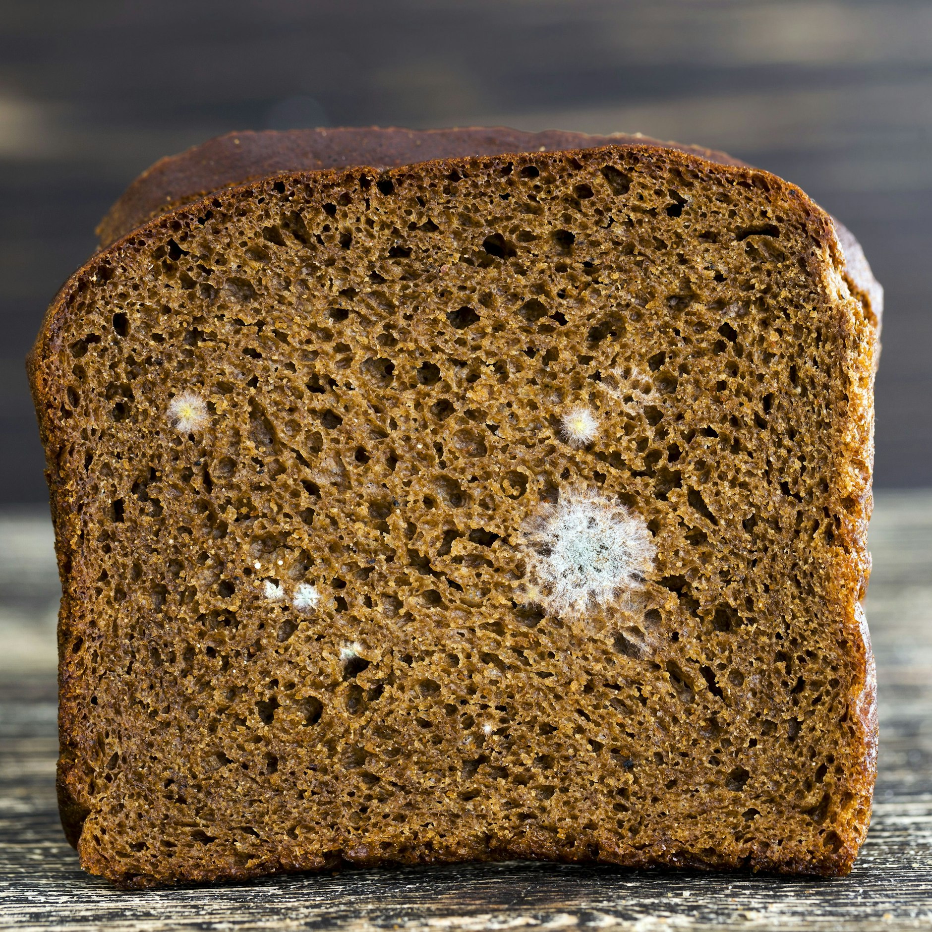 Damit Brot nicht schimmelt, muss es richtig gelagert werden.