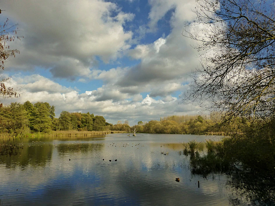 Hier ist noch genug Wasser da: Das Naturschutzgebiet Karower Teiche zwischen Panke,  Pankgrafenstraße,  Bucher Straße und Berliner Ring gelegen.