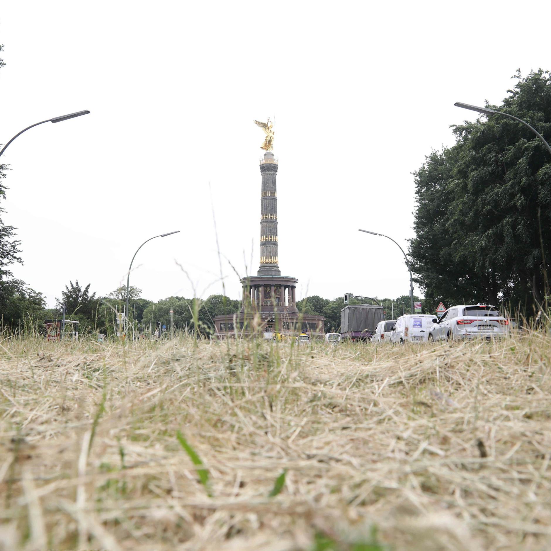 Das Gras auf dem Mittelstreifen der Altonaer Straße ist fast völlig verdorrt, es hat zu selten geregnet. Fotografiert im vergangenen Jahr, aber vielerorts sieht es inzwischen schon wieder ähnlich aus – und das, obwohl der Sommer gerade erst beginnt.