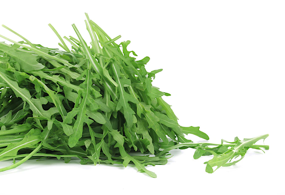 Rucola ist inzwischen beliebt in Deutschland. Doch das war nicht immer so!