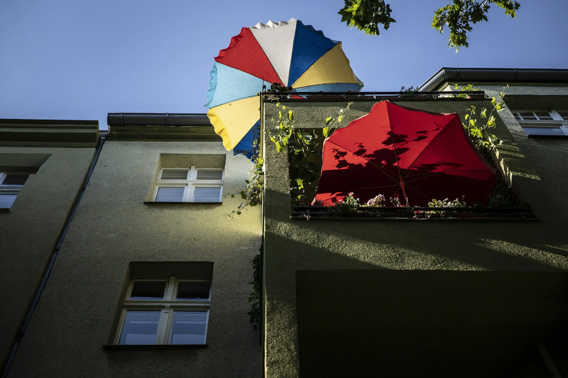 Auch wenn sich die Sonne nur selten blicken lässt, müssen sie nicht auf blühende Pflanzen auf dem Balkon verzichten.
