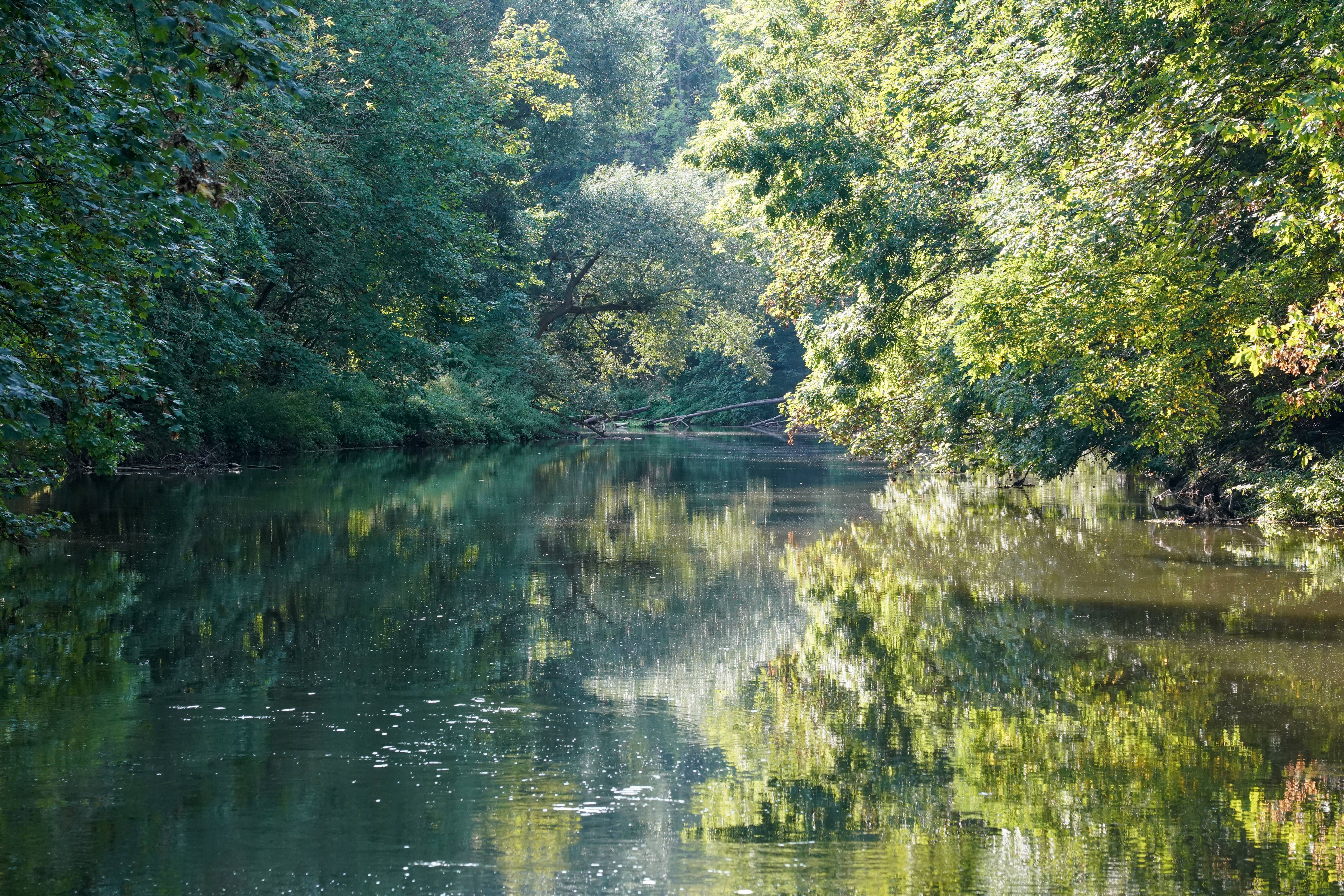 Zwei Angler machen in Leipzig einen fetten Fang – doch es ist viel gefährlicher als ein Fisch!