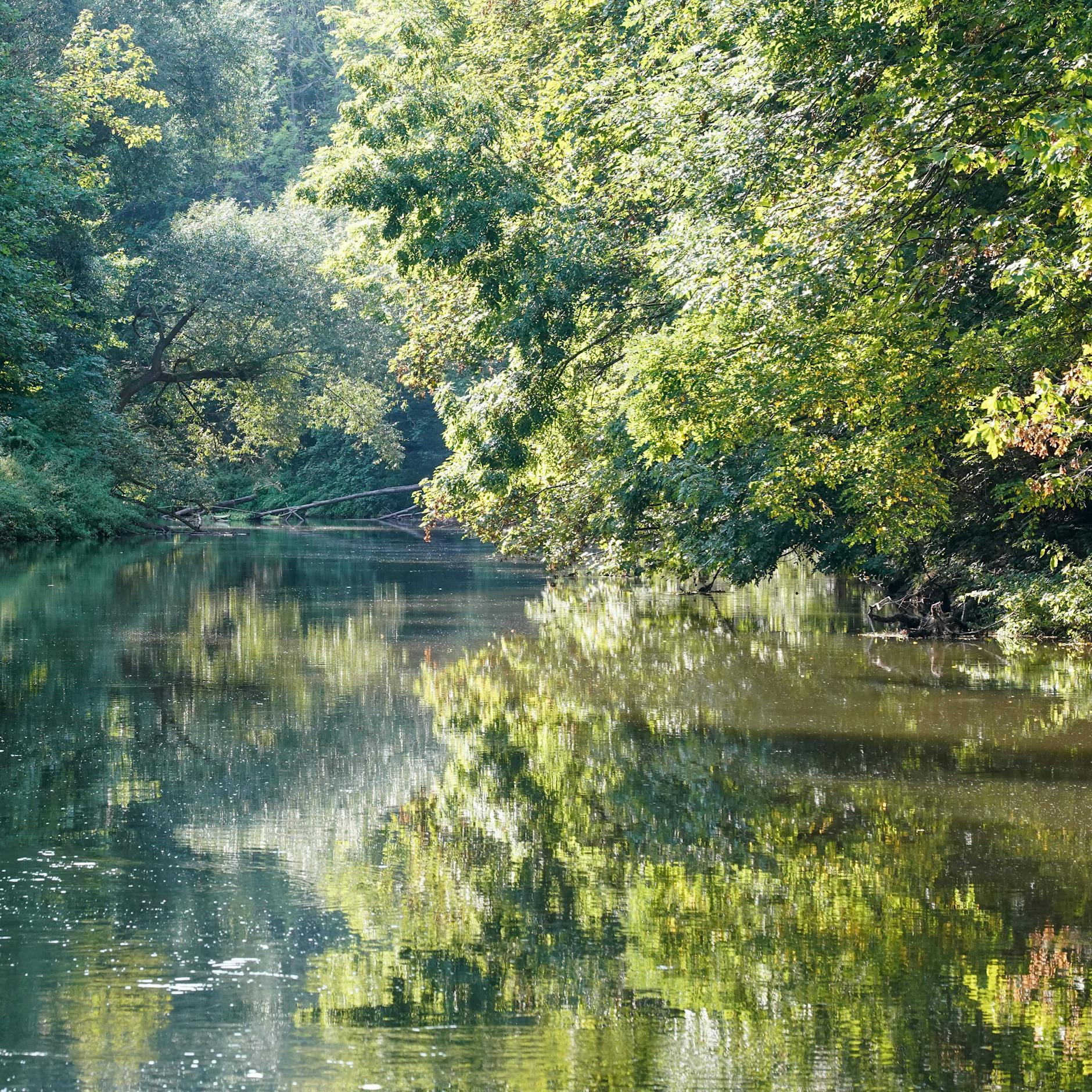Zwei Angler machen in Leipzig einen fetten Fang – doch es ist viel gefährlicher als ein Fisch!