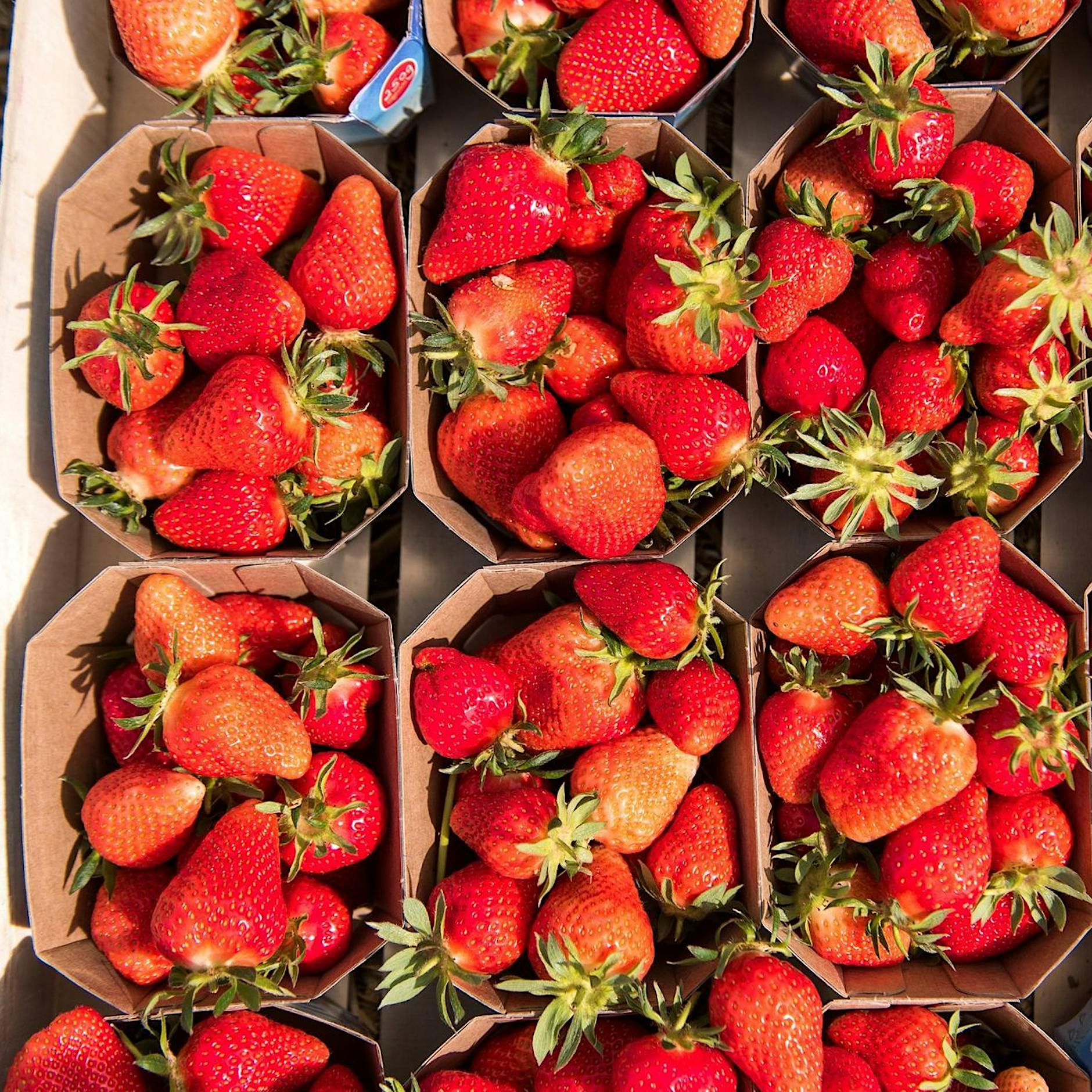 Öko-Test: Warum Sie gerade noch keine Erdbeeren kaufen sollten