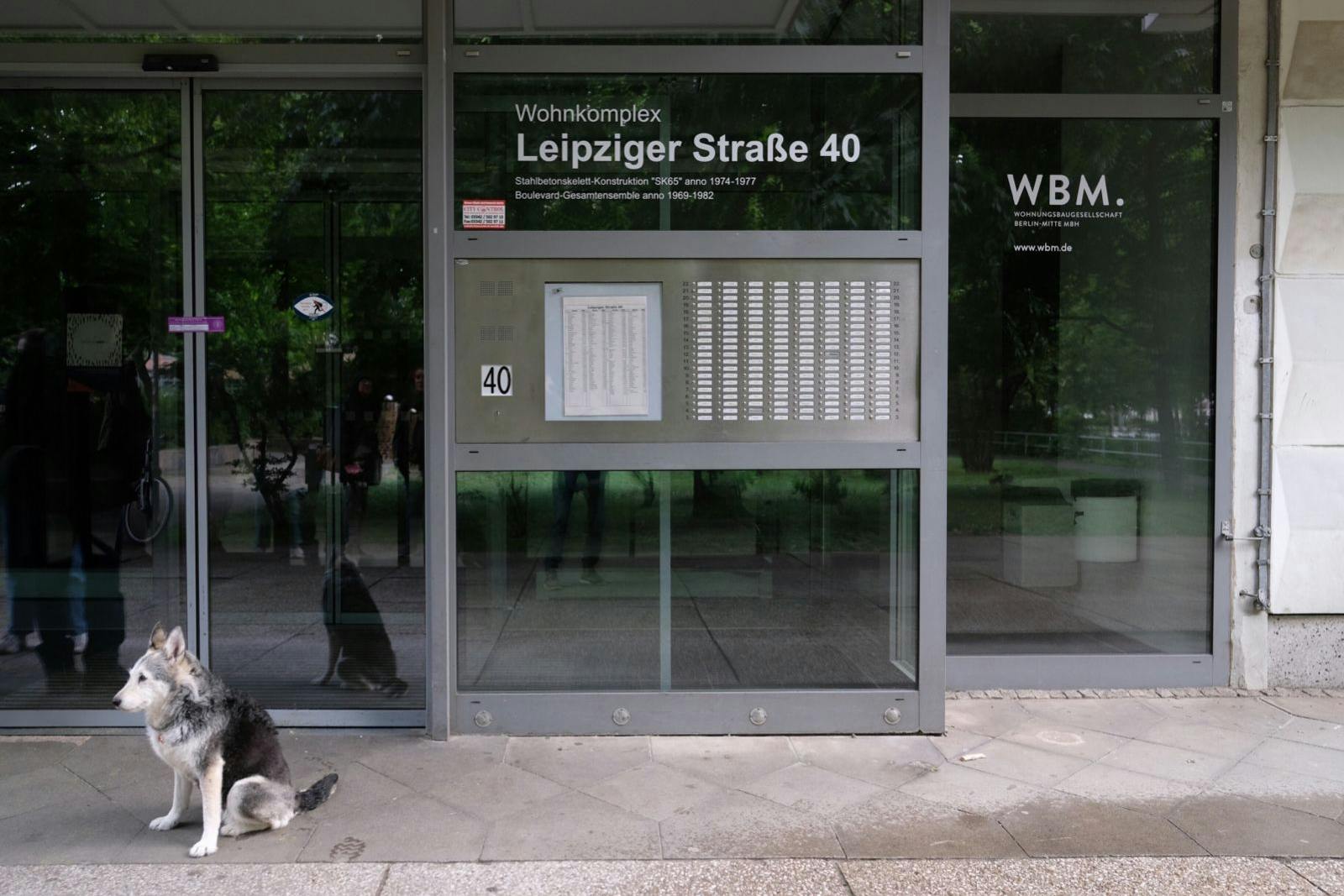 Husky-Mix Eila sitzt vor dem gesperrten Hochhaus: Mit Herrchen Oliver Schulz musste sie raus.