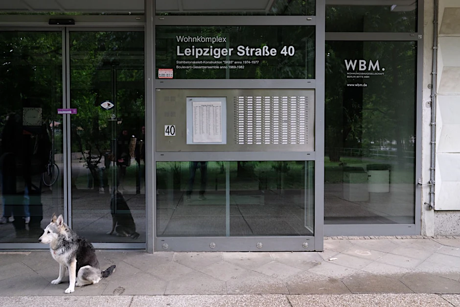 Husky-Mix Eila sitzt vor dem gesperrten Hochhaus: Mit Herrchen Oliver Schulz musste sie raus.