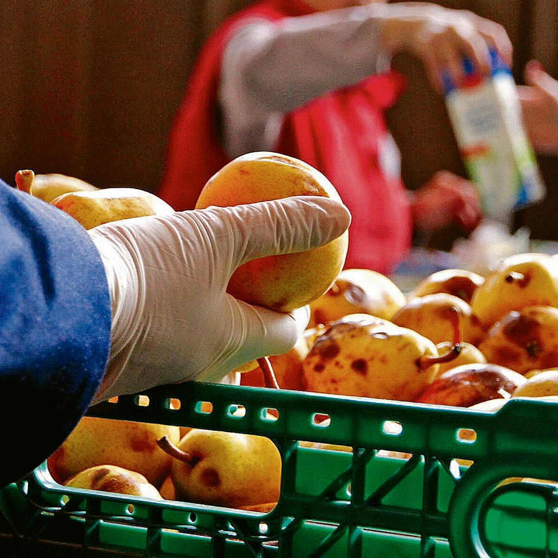 Retten Berlins Schulkinder die Berliner Tafel? SO greifen sie den Lebensmittel-Ausgabestellen für Bedürftige unter die Arme