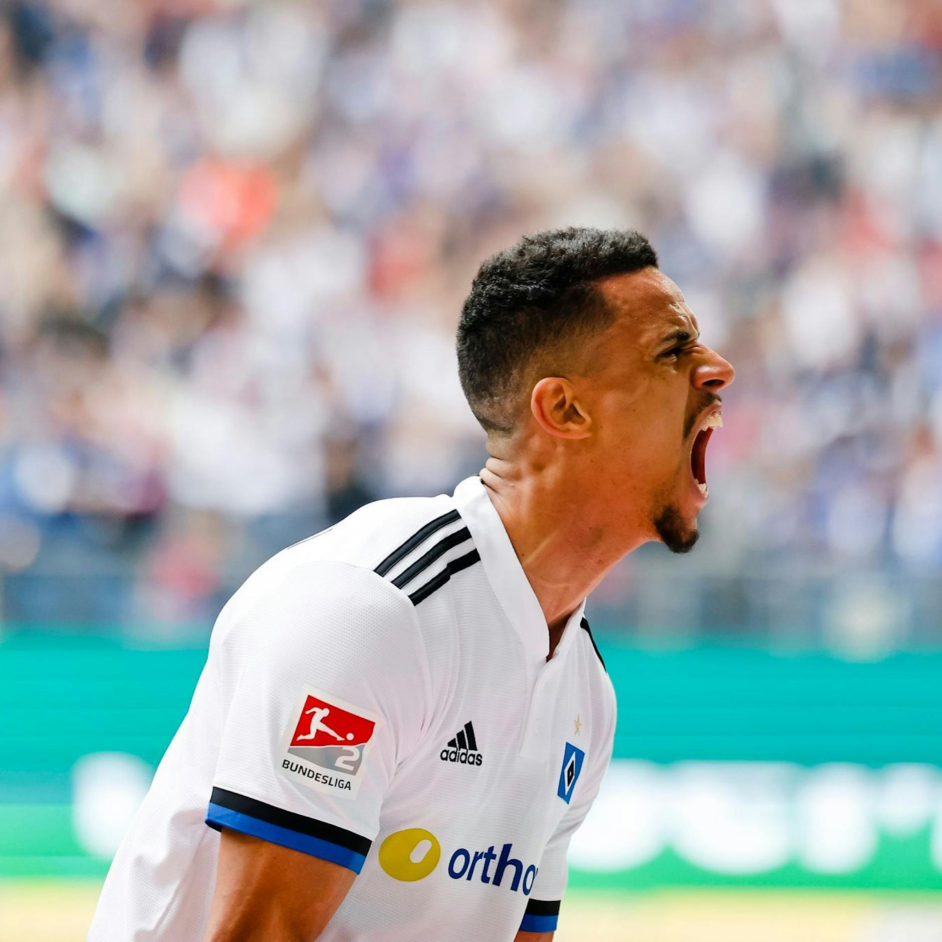 Schnäppchen-Markt! Der 1. FC Union baggert an HSV-Star Robert Glatzel