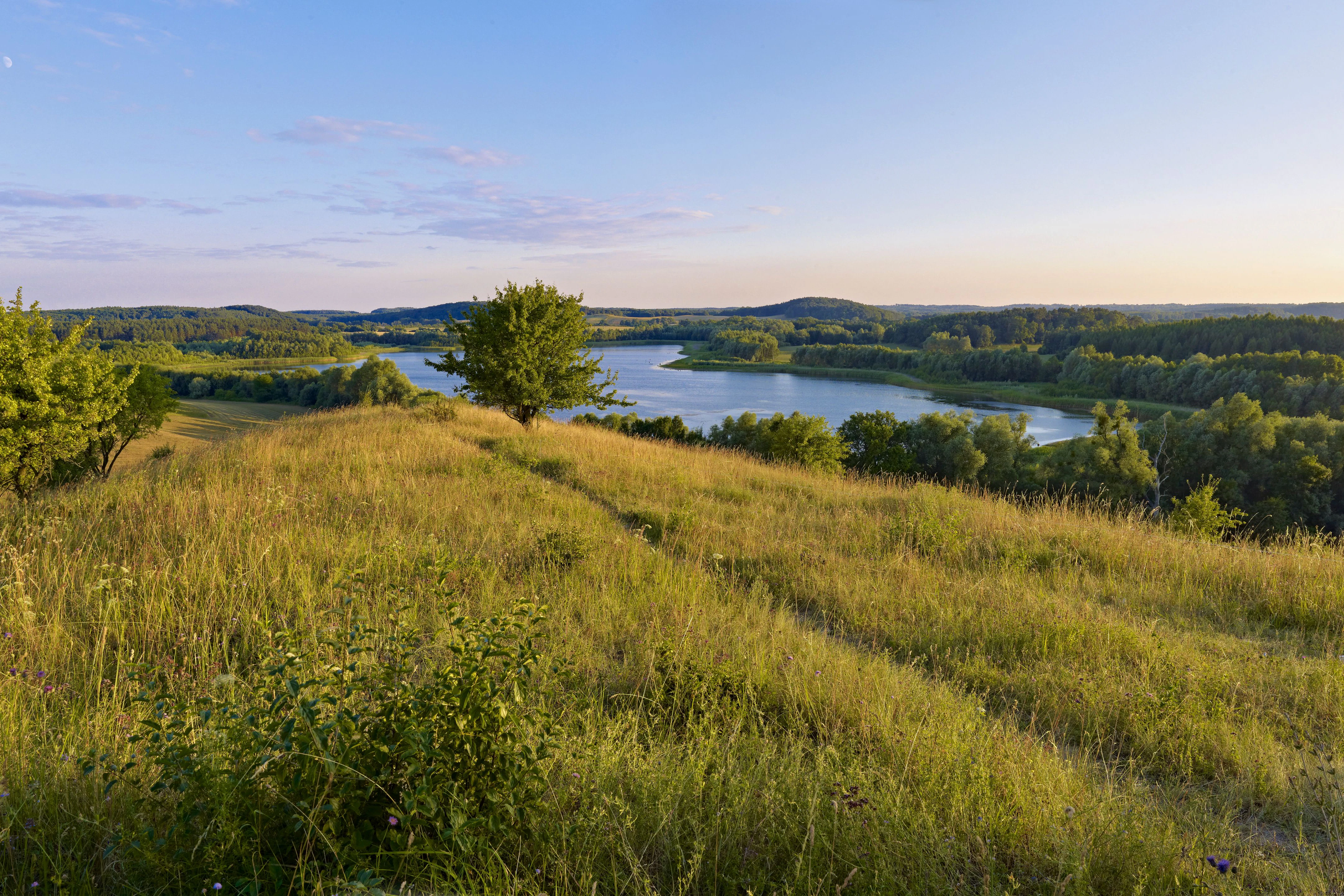 Lust aufs Land? In Brandenburg gibt es vielerorts die perfekte Idylle.