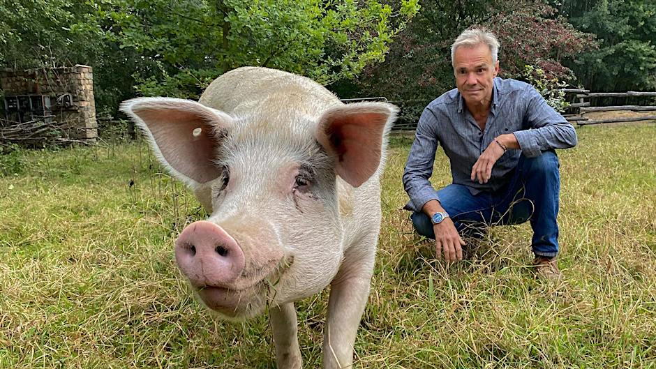 HANDOUT - Schauspieler Hannes Jaenicke im «Land der Tiere», einem Gnadenhof speziell für Nutztiere in Mecklenburg-Vorpommern.   - ACHTUNG: Nur zur redaktionellen Verwendung im Zusammenhang mit einer Berichterstattung über den Sendung und nur mit vollständiger Nennung des vorstehenden Credits