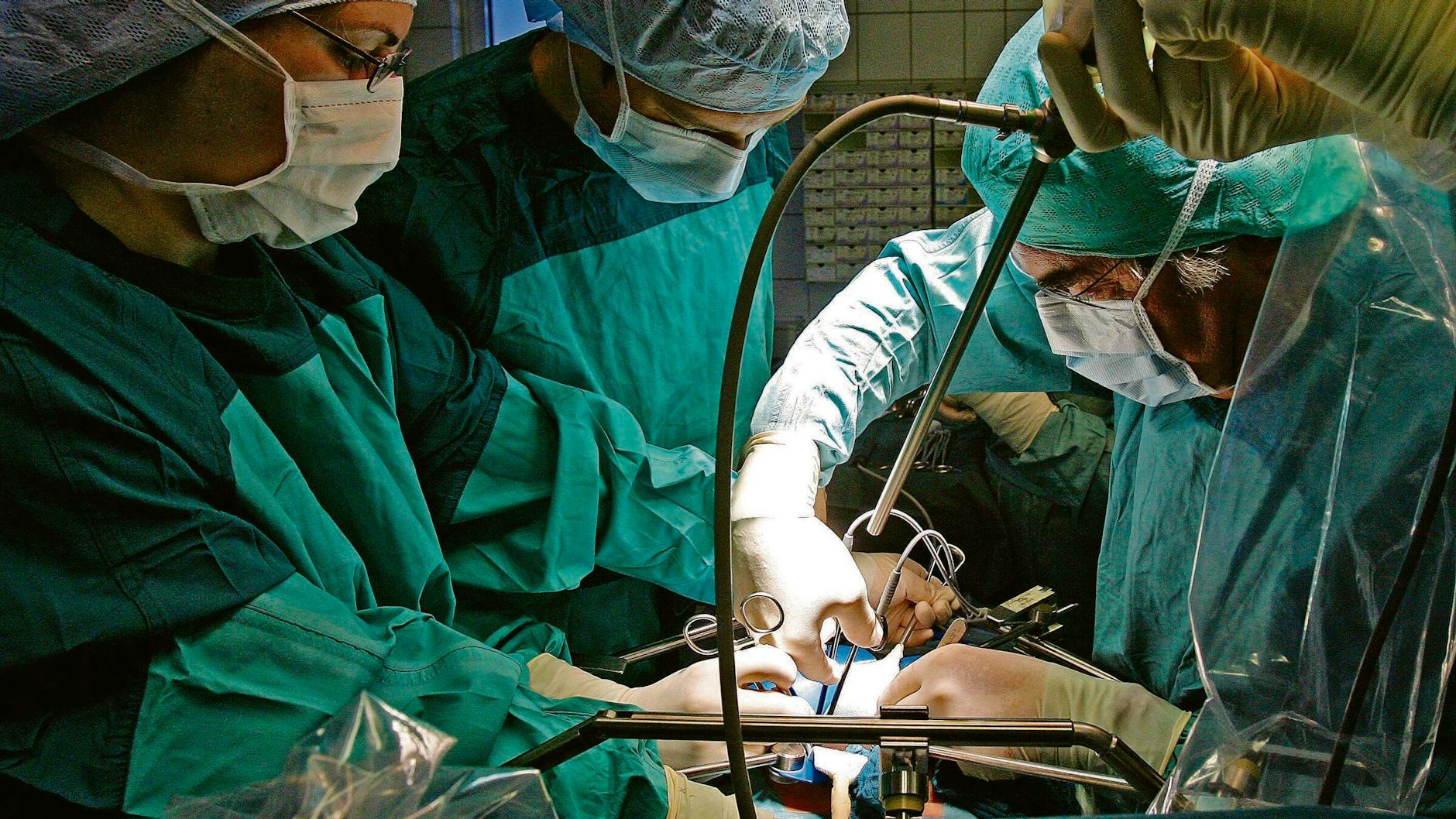In einer Klinik wird bei einer Operation einem Spender eine Niere entnommen, die für eine Transplantation vorgesehen ist.