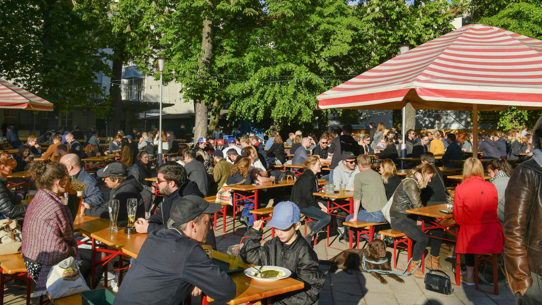 Berühmt, beliebt und immer voll: Der Prater Biergarten in Prenzlauer Berg.