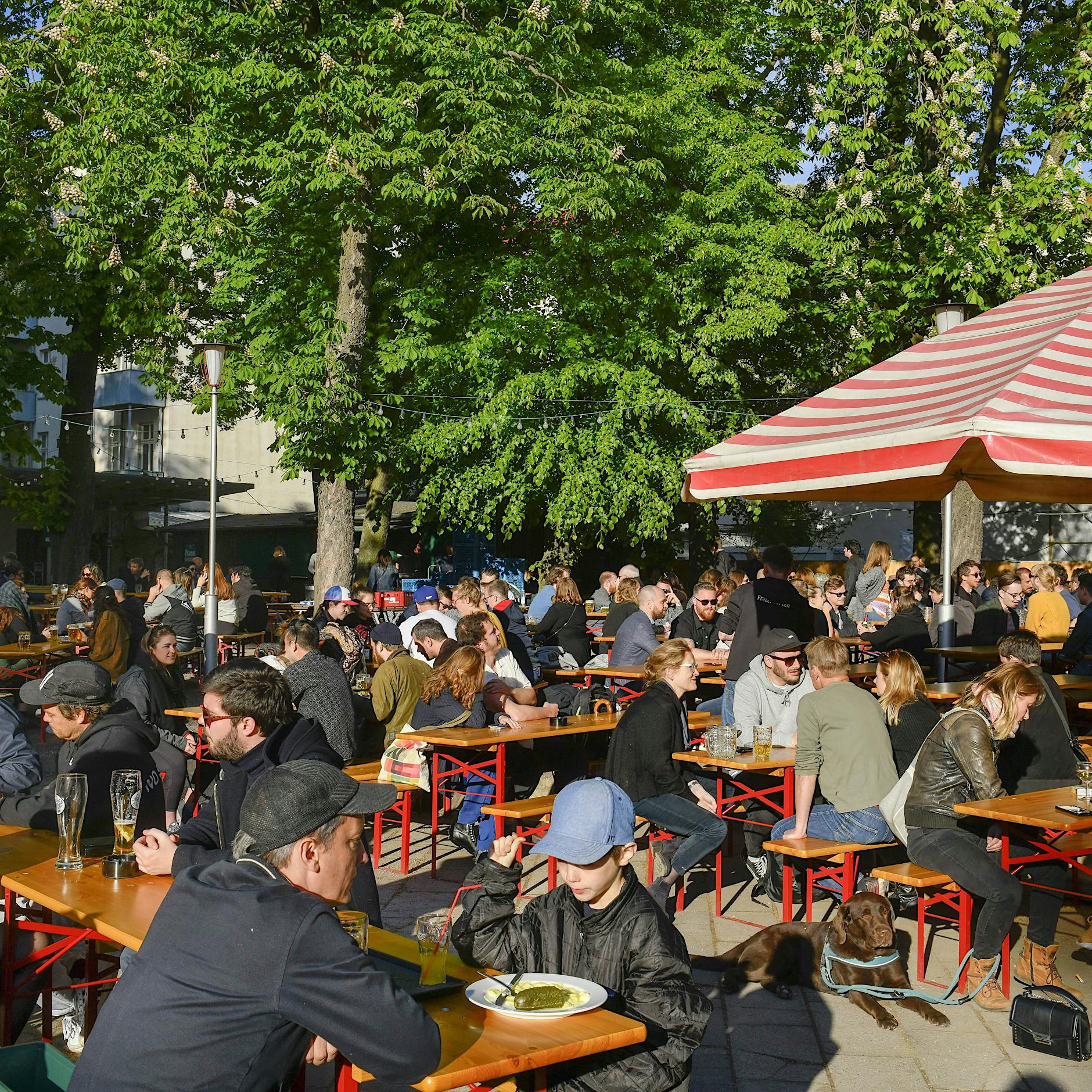 Lust auf Bier? Das sind unsere Lieblings-Biergärten