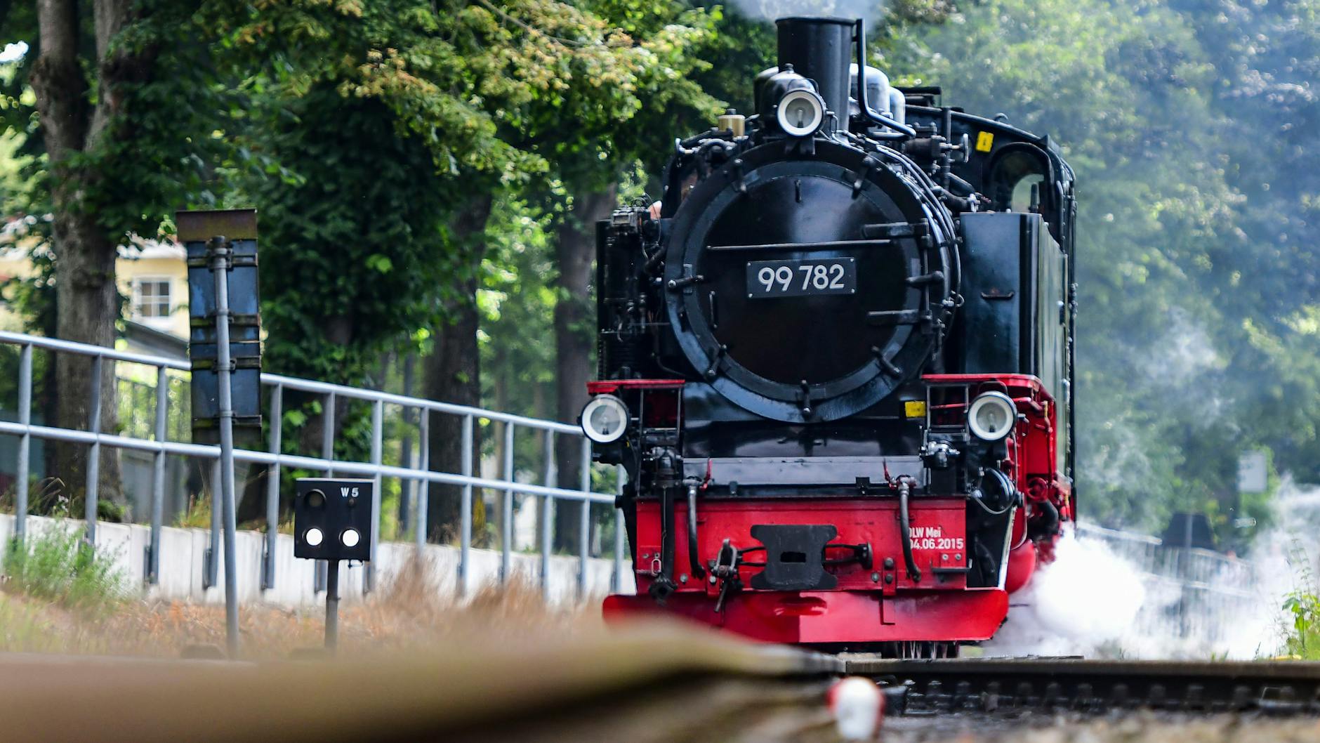 Der Rasende Roland unter Volldampf: Auch der Traditionszug auf Rügen, der Putbus, Binz und Göhren verbindet, darf mit dem 9-Euro-Ticket oder einem Umweltkarten-Abo genutzt werden.