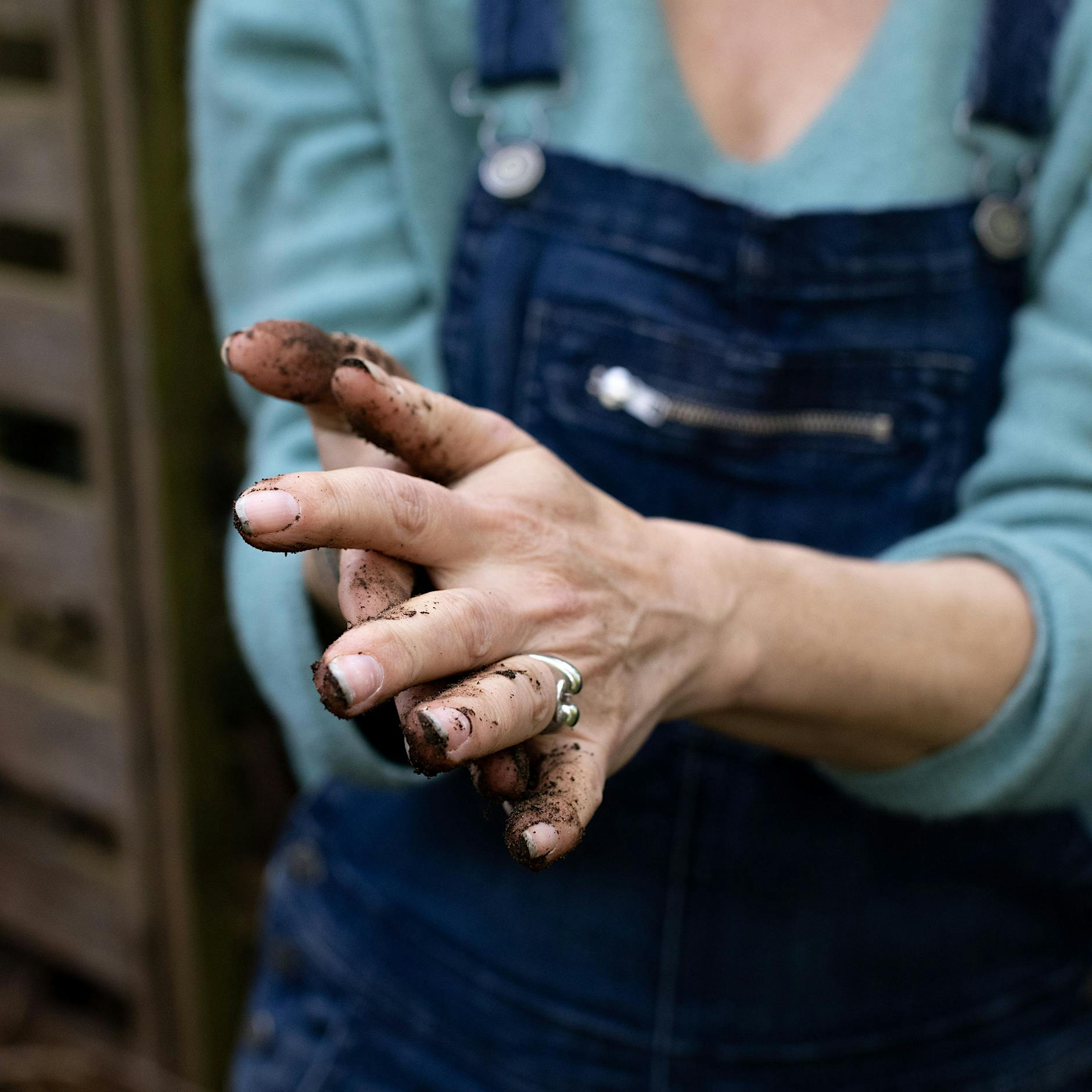 Mein bester Freund lebt beim Kompost: Unsere Garten-Kolumnistin stellt sich vor