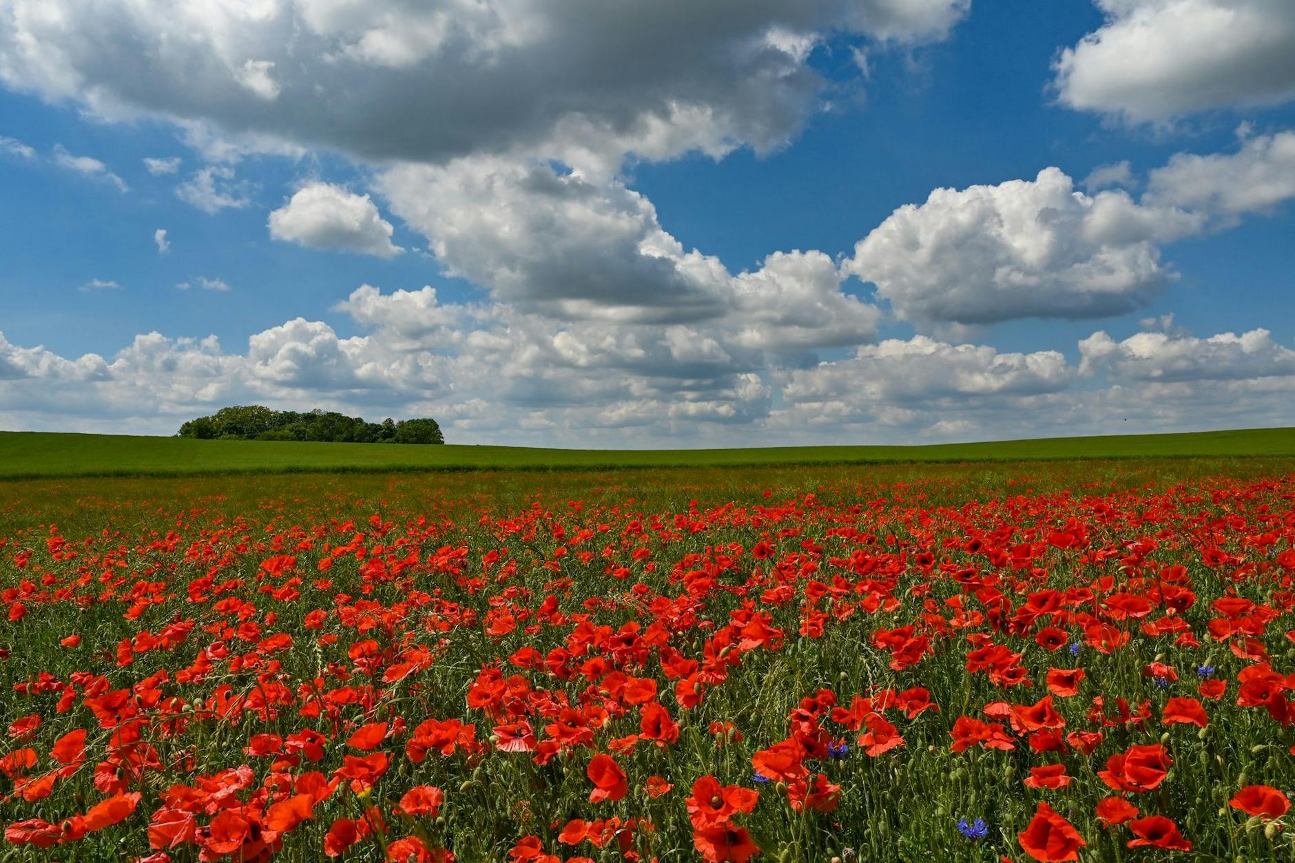 In Berlin und Brandenburg dürfen wir uns auf ein Warmes Wochenende mit viel Sonne freuen, erst am Montag wird es unbeständiger.