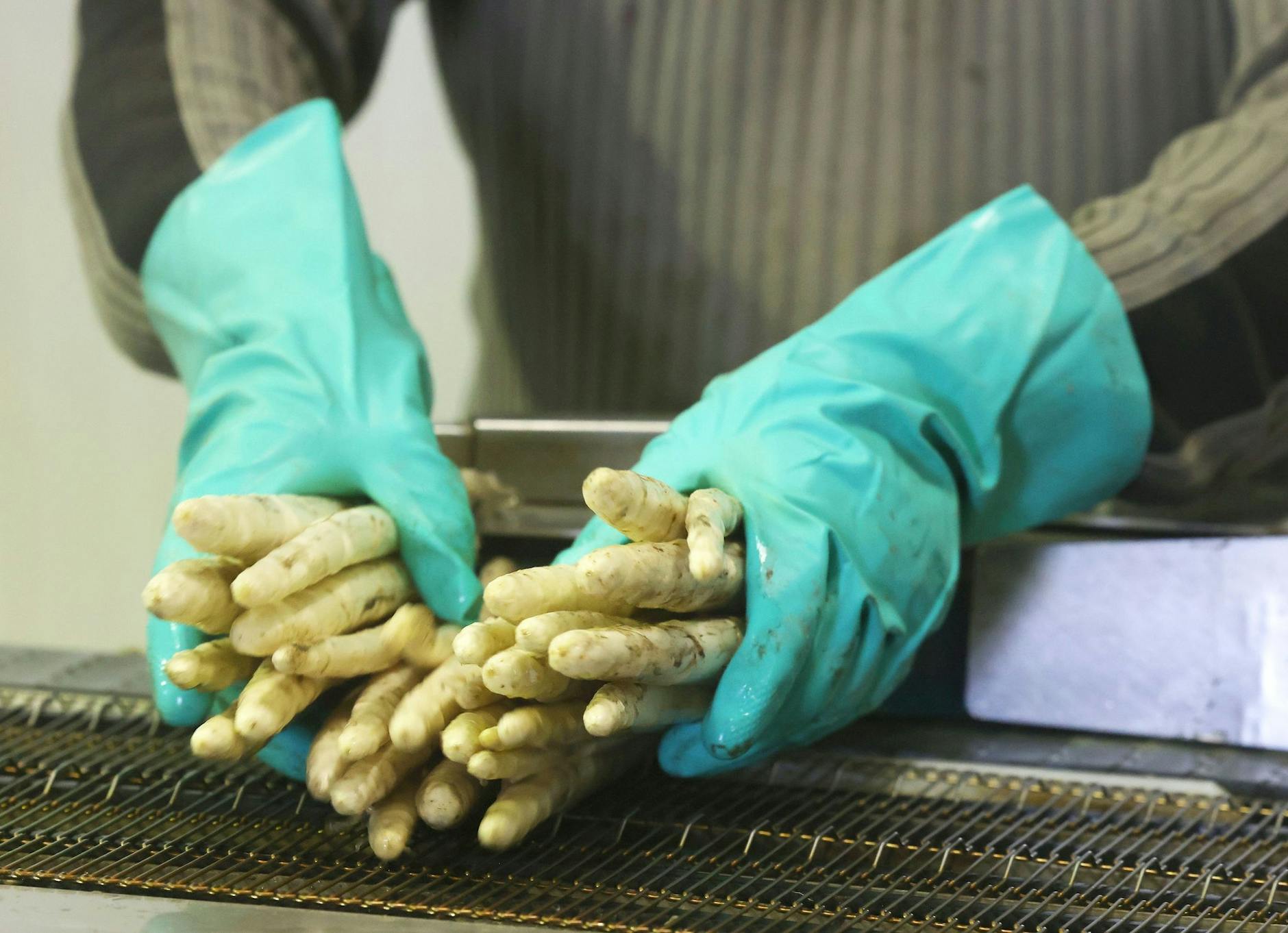 ARCHIV - Spargel-Anbauer beklagen dieses Jahr eine spürbare Kaufzurückhaltung.