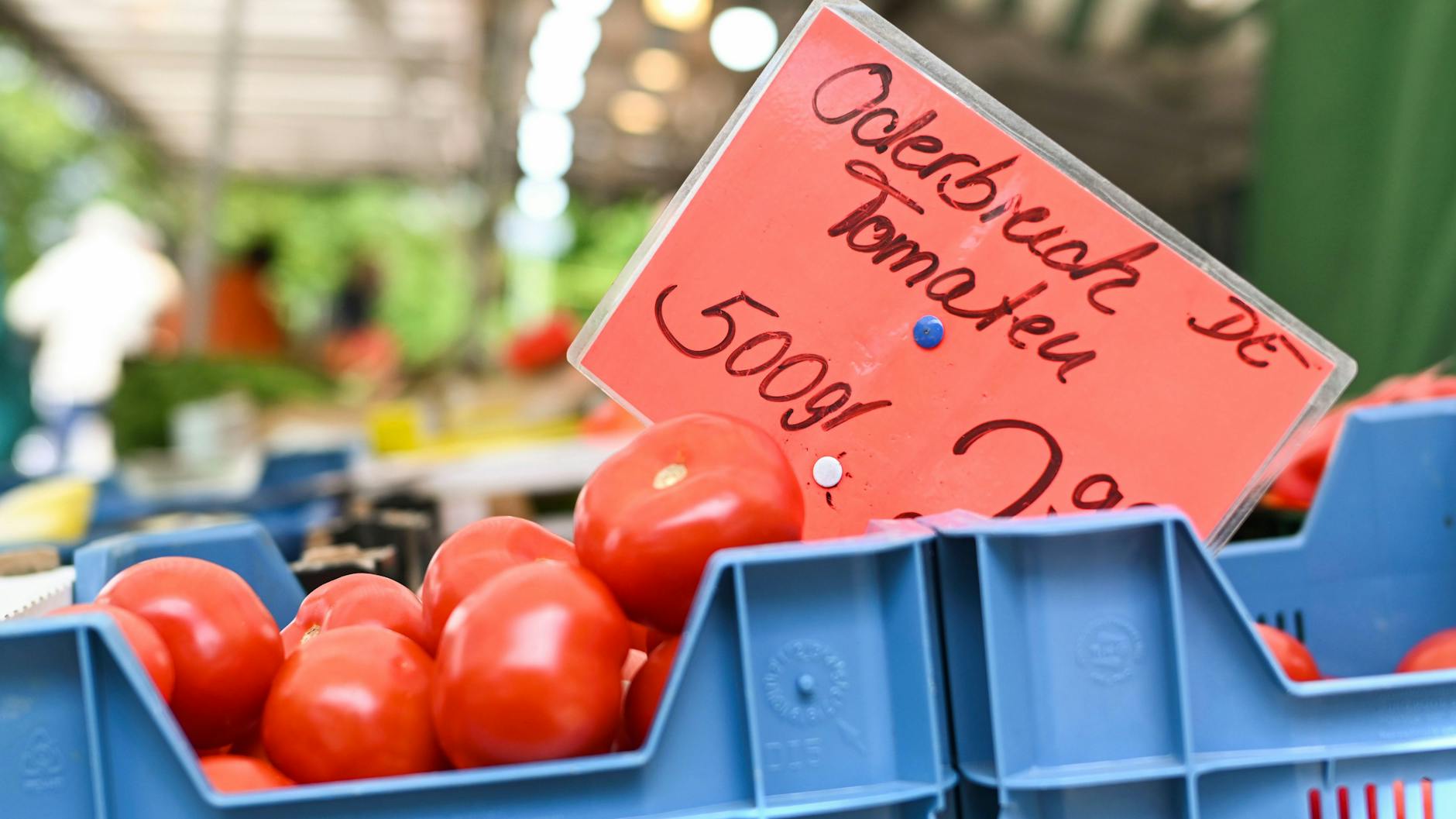 Tomaten kosten derzeit 2,99 Euro pro 500 Gramm auf dem Markt in Lichtenberg.