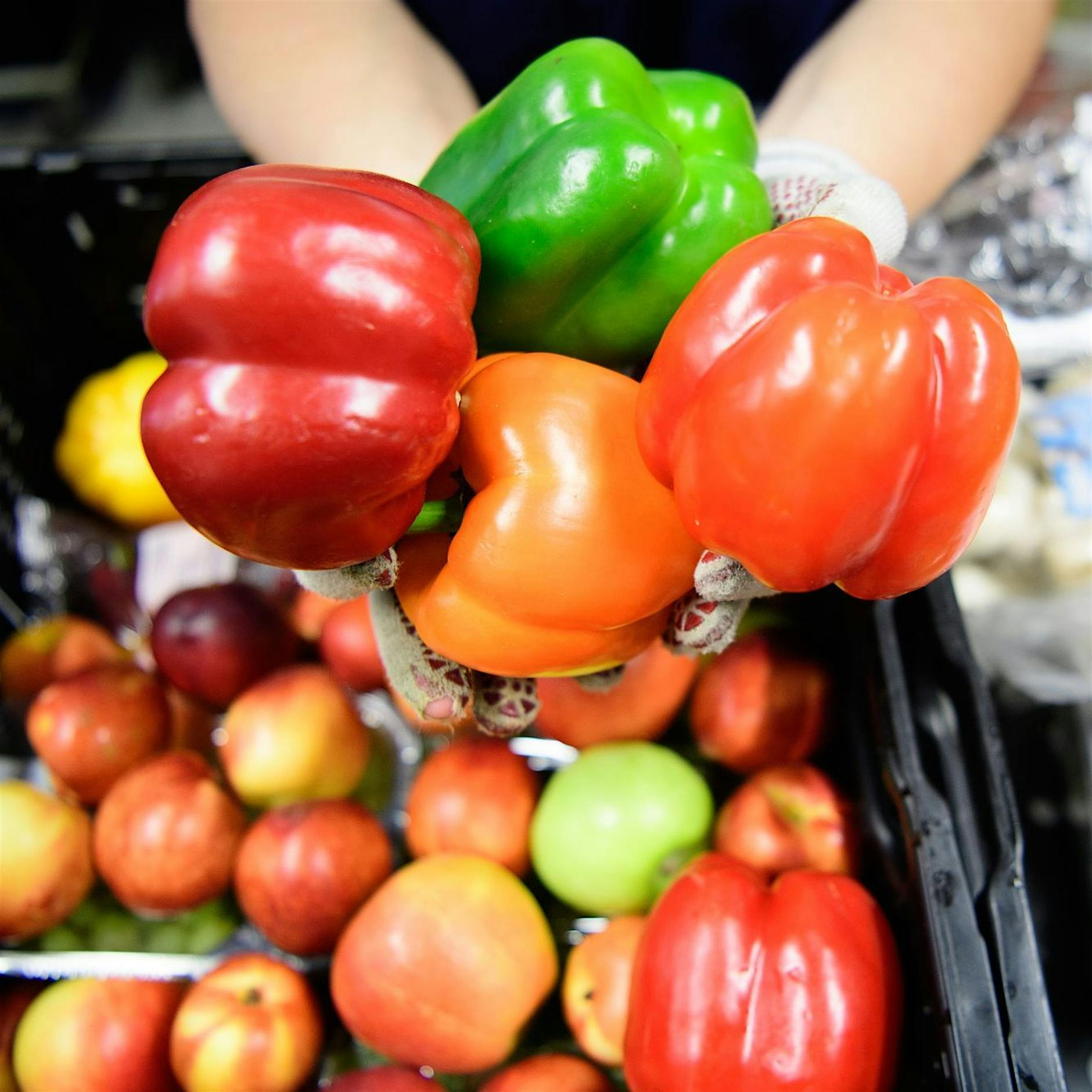 Preissteigerung und fehlendes Personal: Tafeln unter Druck