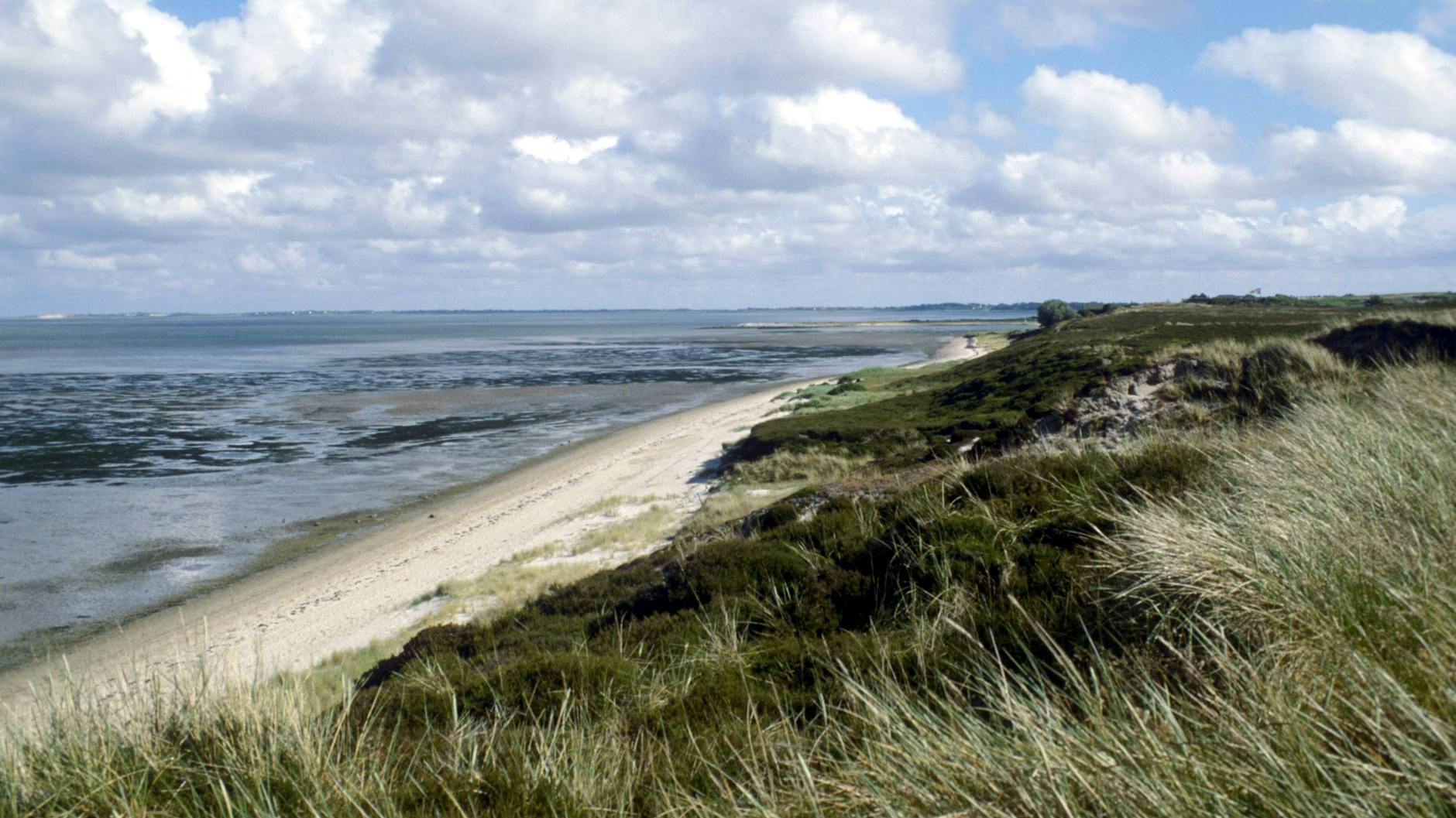 Sylt