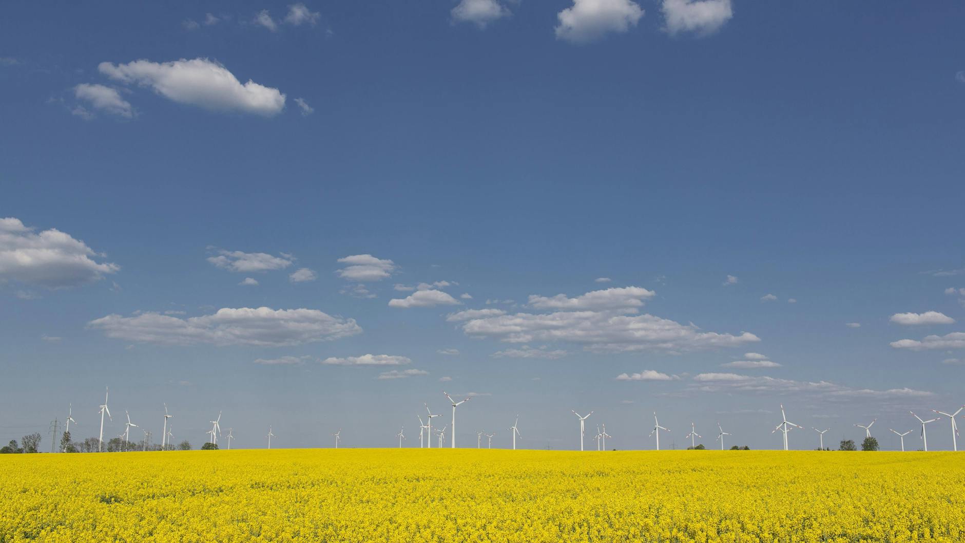 Wunderbare Felder in Brandenburg.