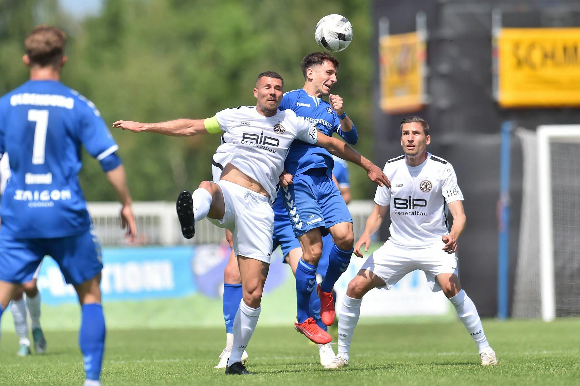 Am Ende fehlte dem BFC Dynamo Berlin nur ein Tor.