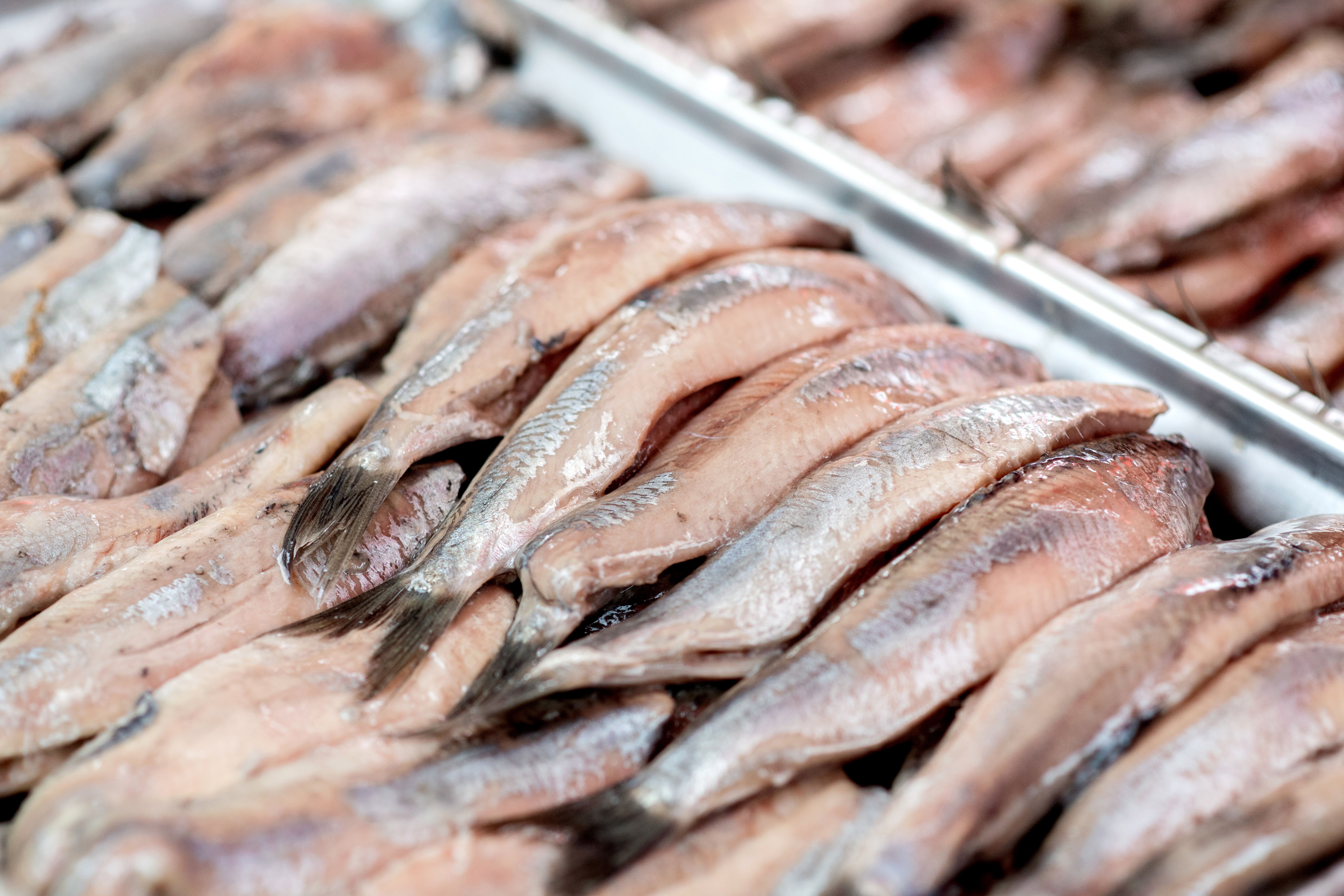 Image - Sylter Heringstopf selber machen – mit diesem klassischen Rezept ist es ganz einfach!