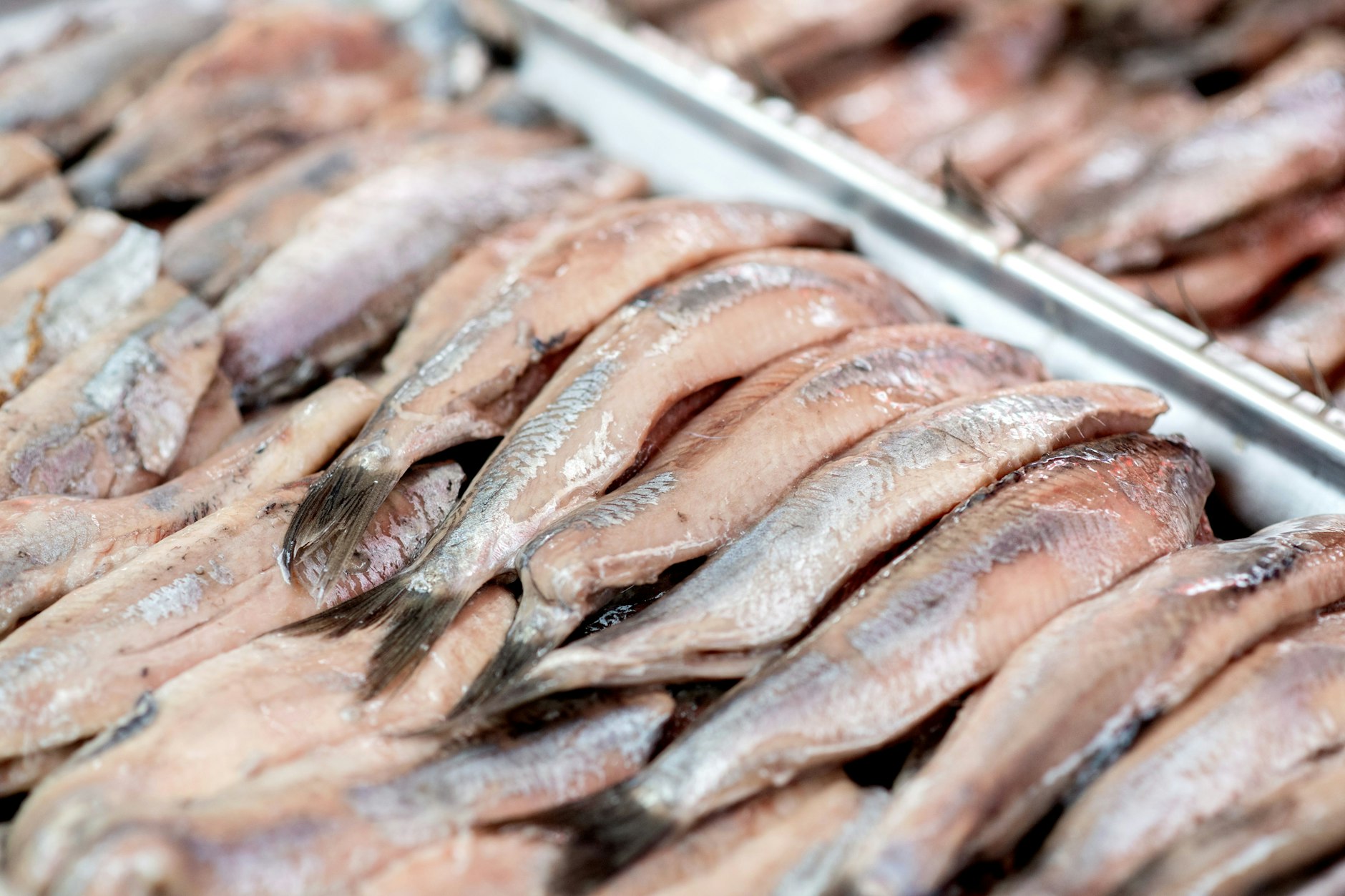 Matjesfilets sind die Grundlage für den leckeren Sylter Heringstopf.