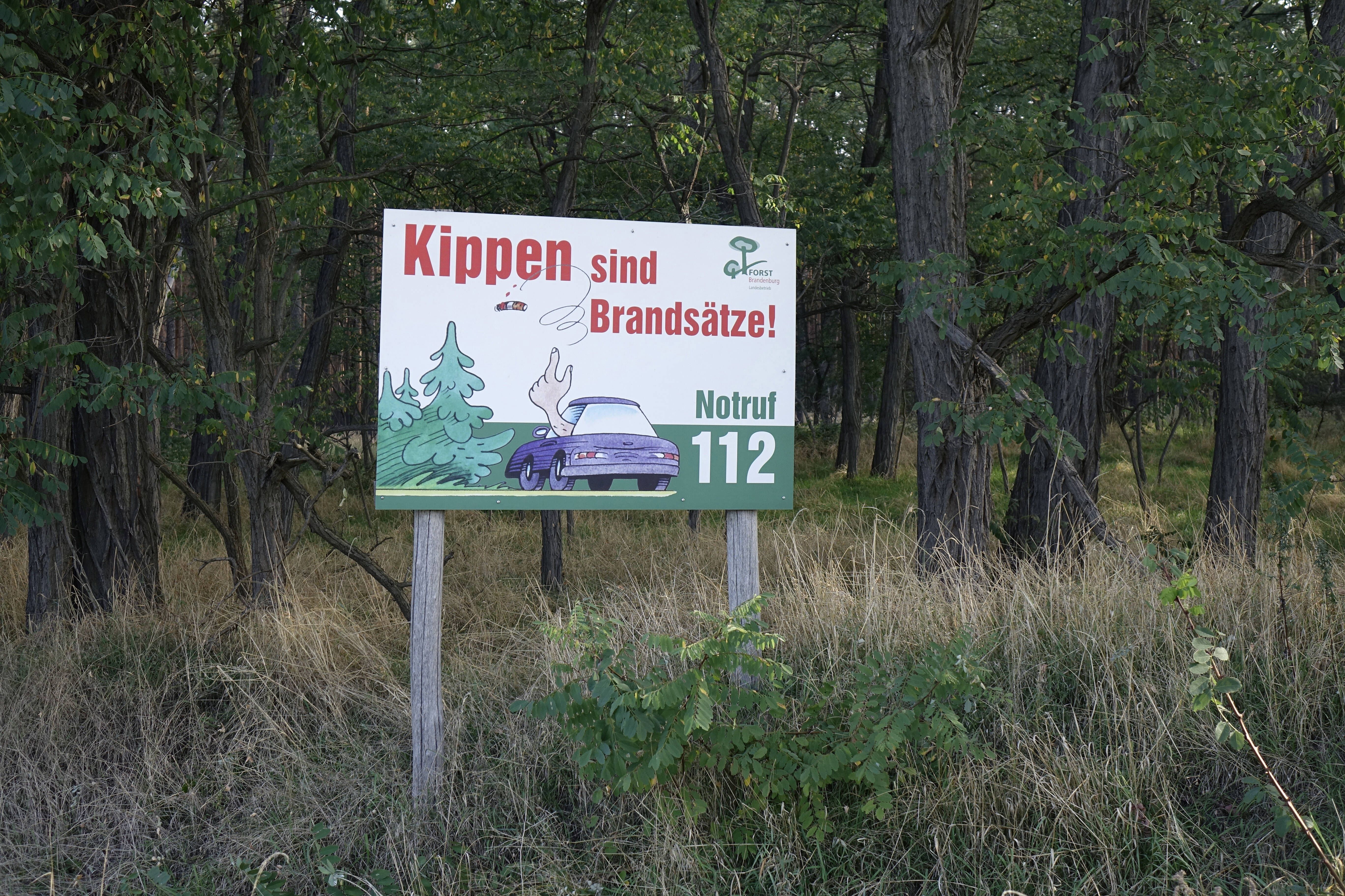 Image - Höchste Waldbrandstufe im Havelland: DAS müssen Sie beim Ausflug nun beachten!