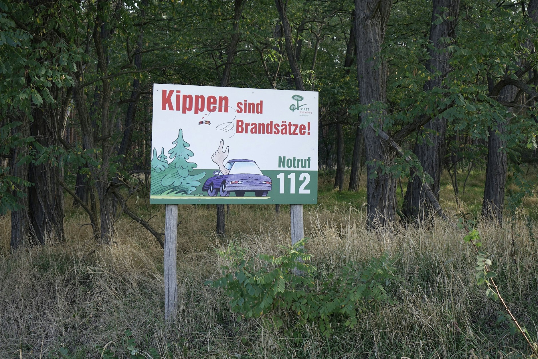 Die Waldbrandgefahr in Brandenburg ist mal wieder richtig hoch.