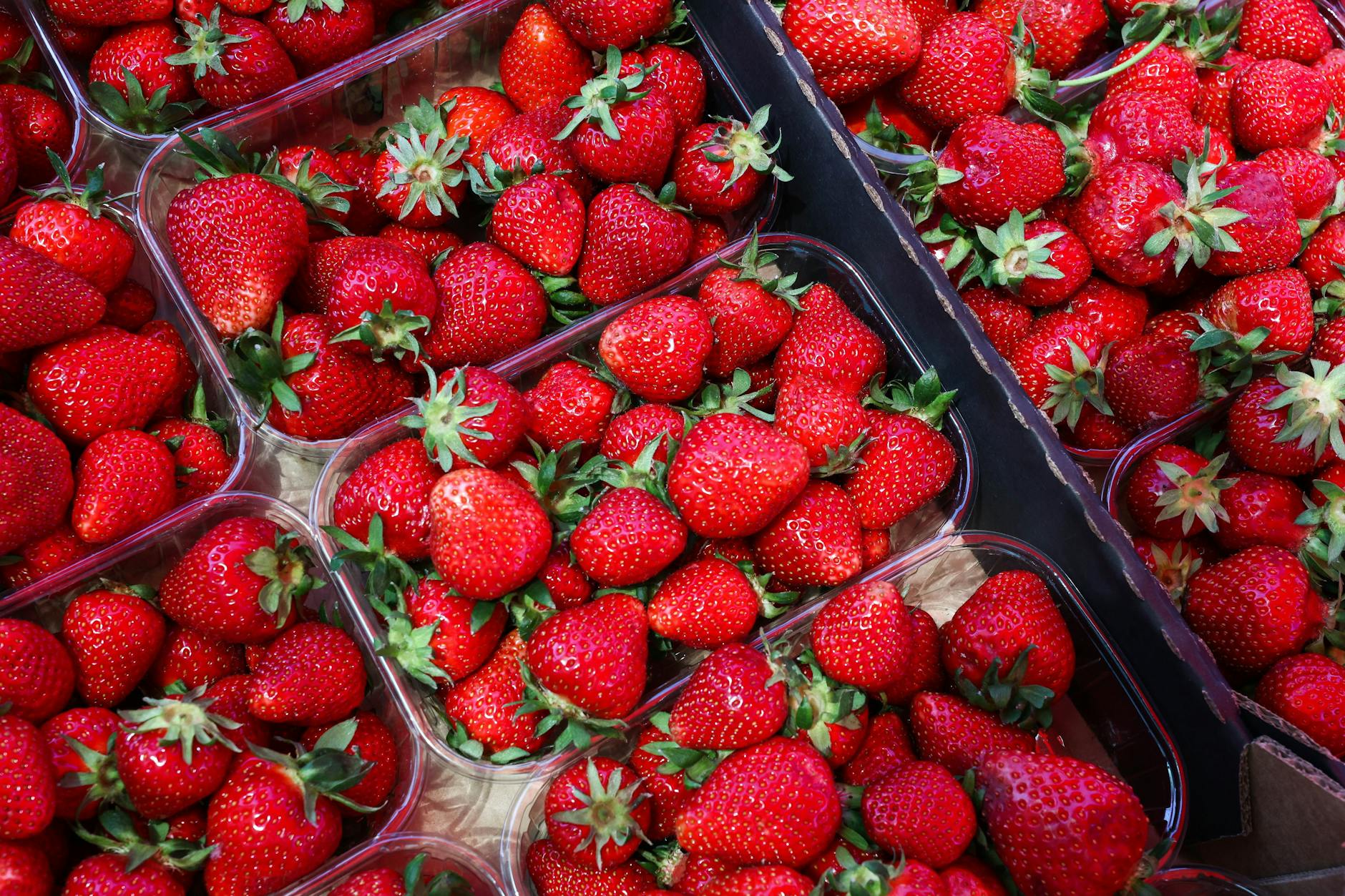 Erdbeeren sind köstlich - und haben gerade Saison. Wichtig ist es nur, die Beeren richtig zu lagern und zu verarbeiten.
