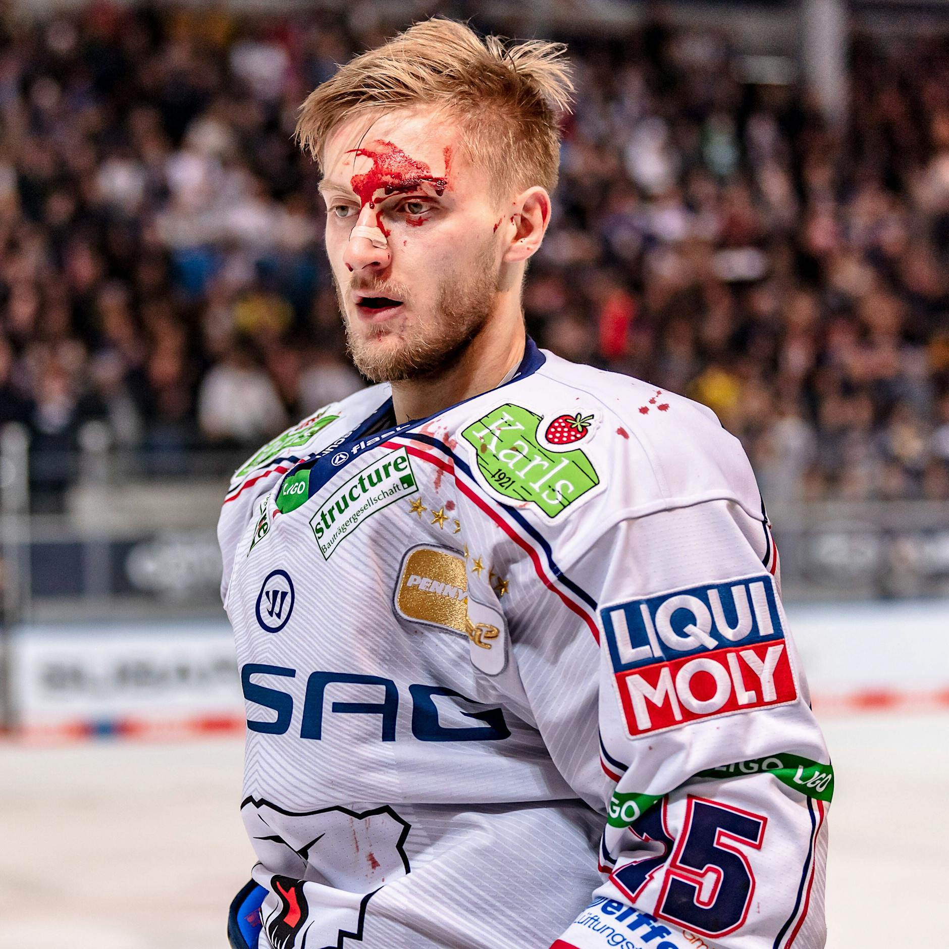 Eisbär Manuel Wiederer: Einmal Hölle zum Titel und nie mehr zurück!