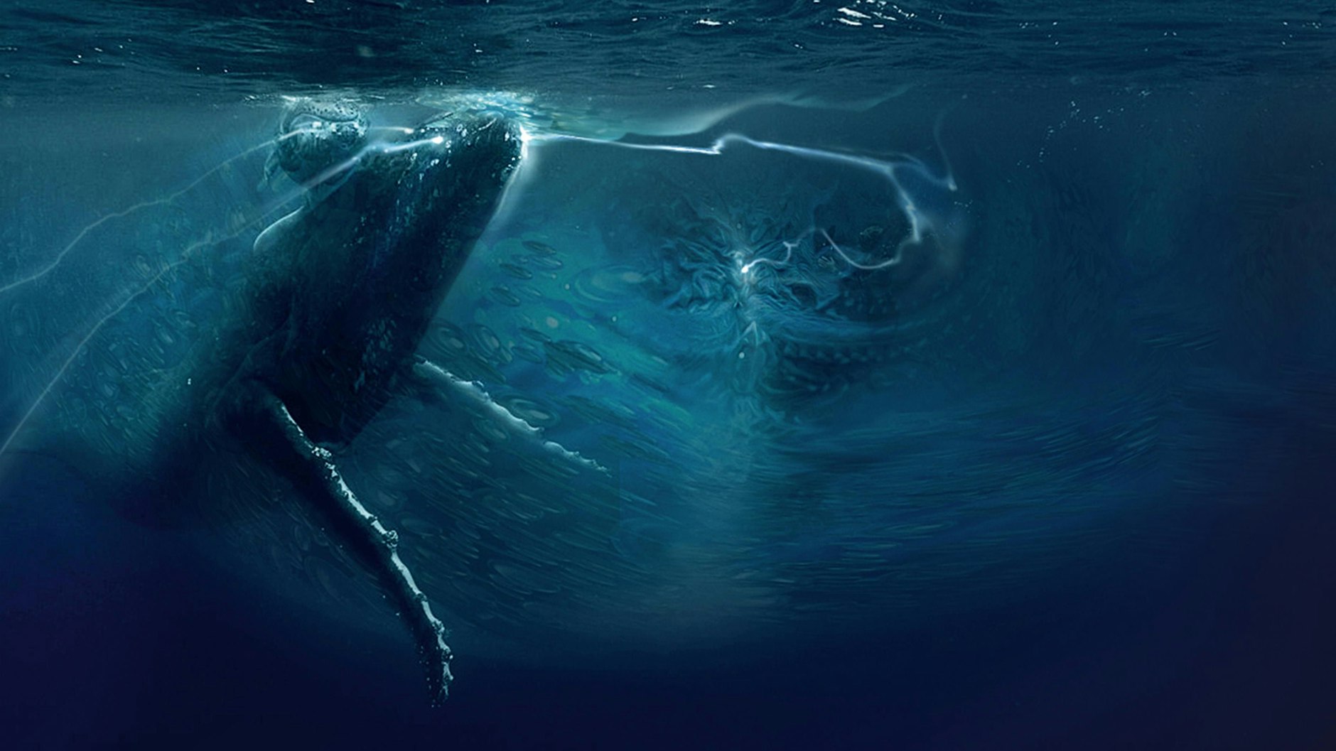 Das offizielle Werbeplakat zur Serie „Der Schwarm“