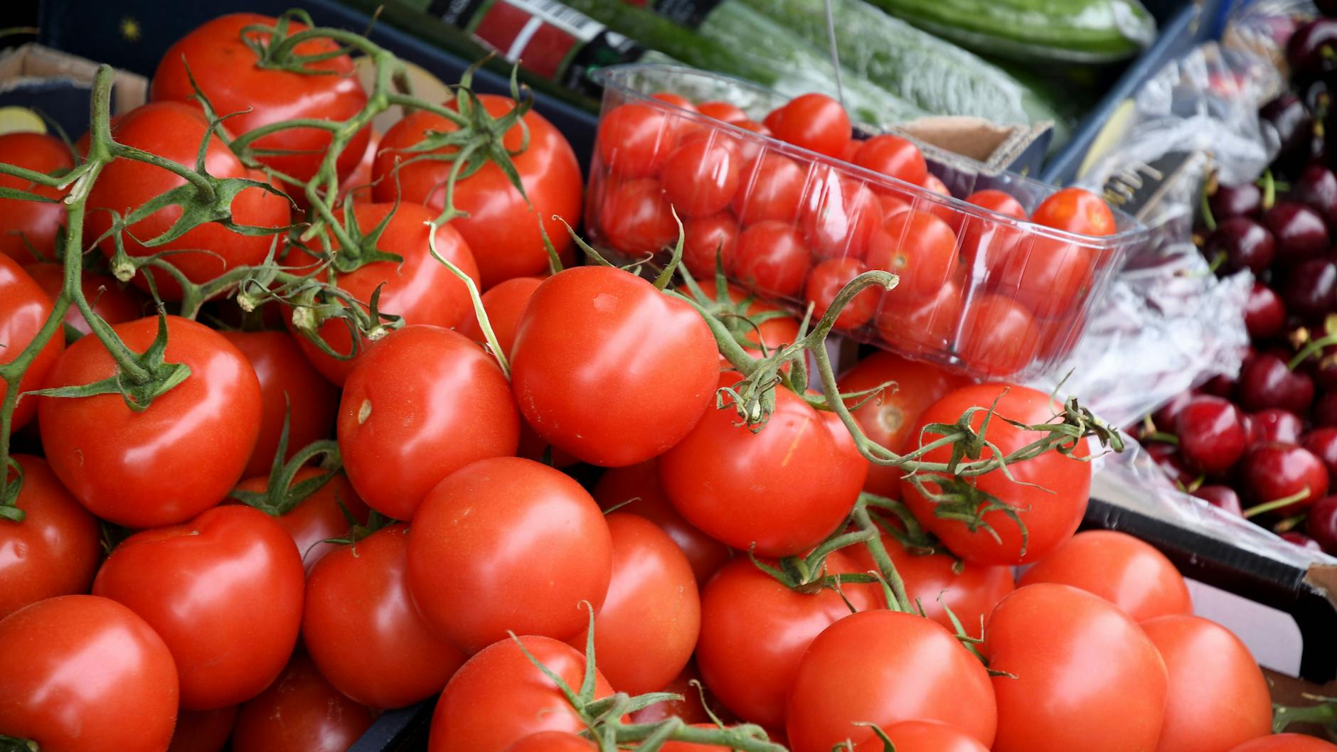 Leckere rote Tomaten gehören nicht in den Kühlschrank.