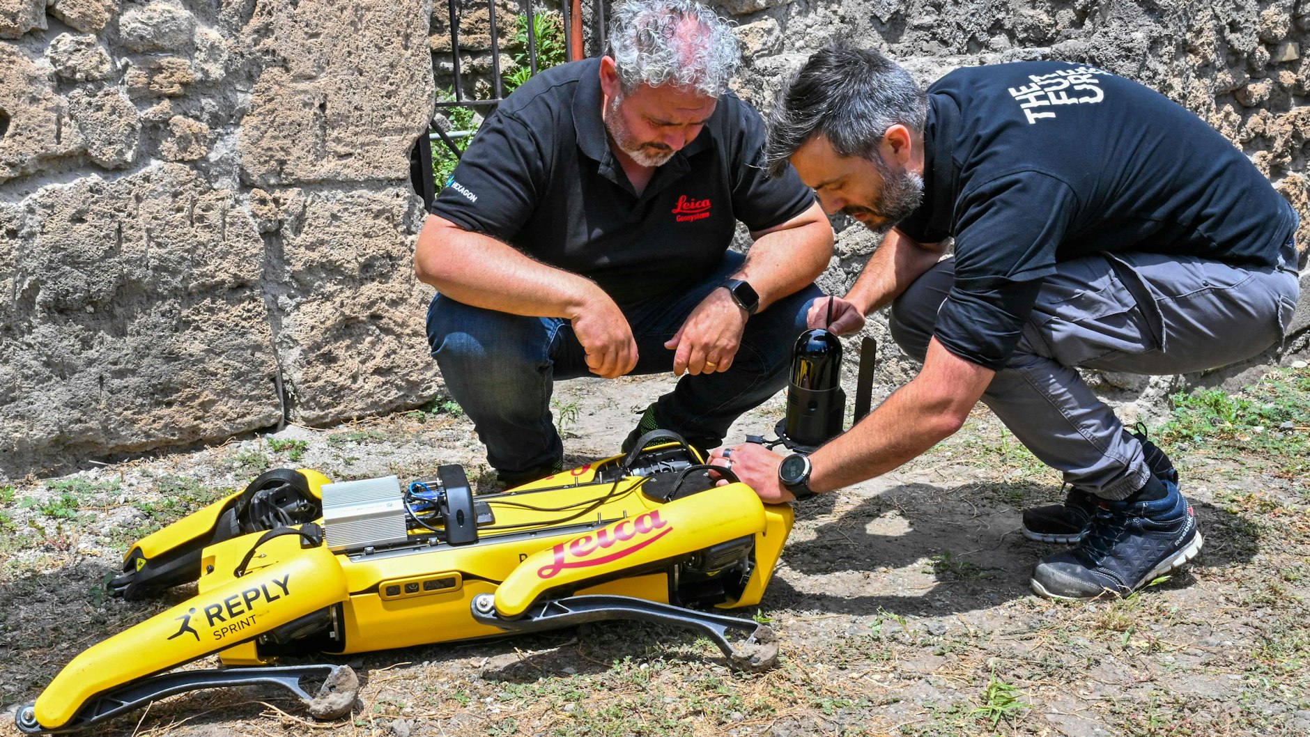 „Spot“ wiegt 70 Kilo und ist etwa so groß wie ein Golden Retriever.