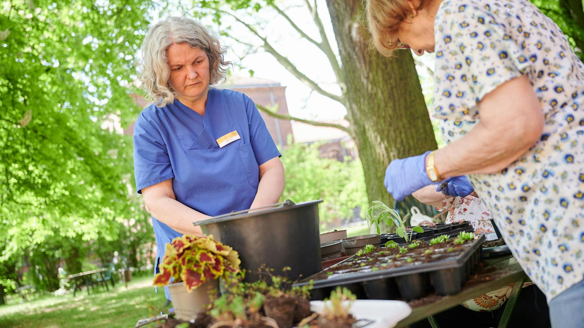 Im „Grünen Behandlungszimmer“ des Evangelischen Krankenhauses Königin Elisabeth Herzberge arbeitet Gartentherapeutin Marlit Bromm (links) mit der Patientin Christel Haas.