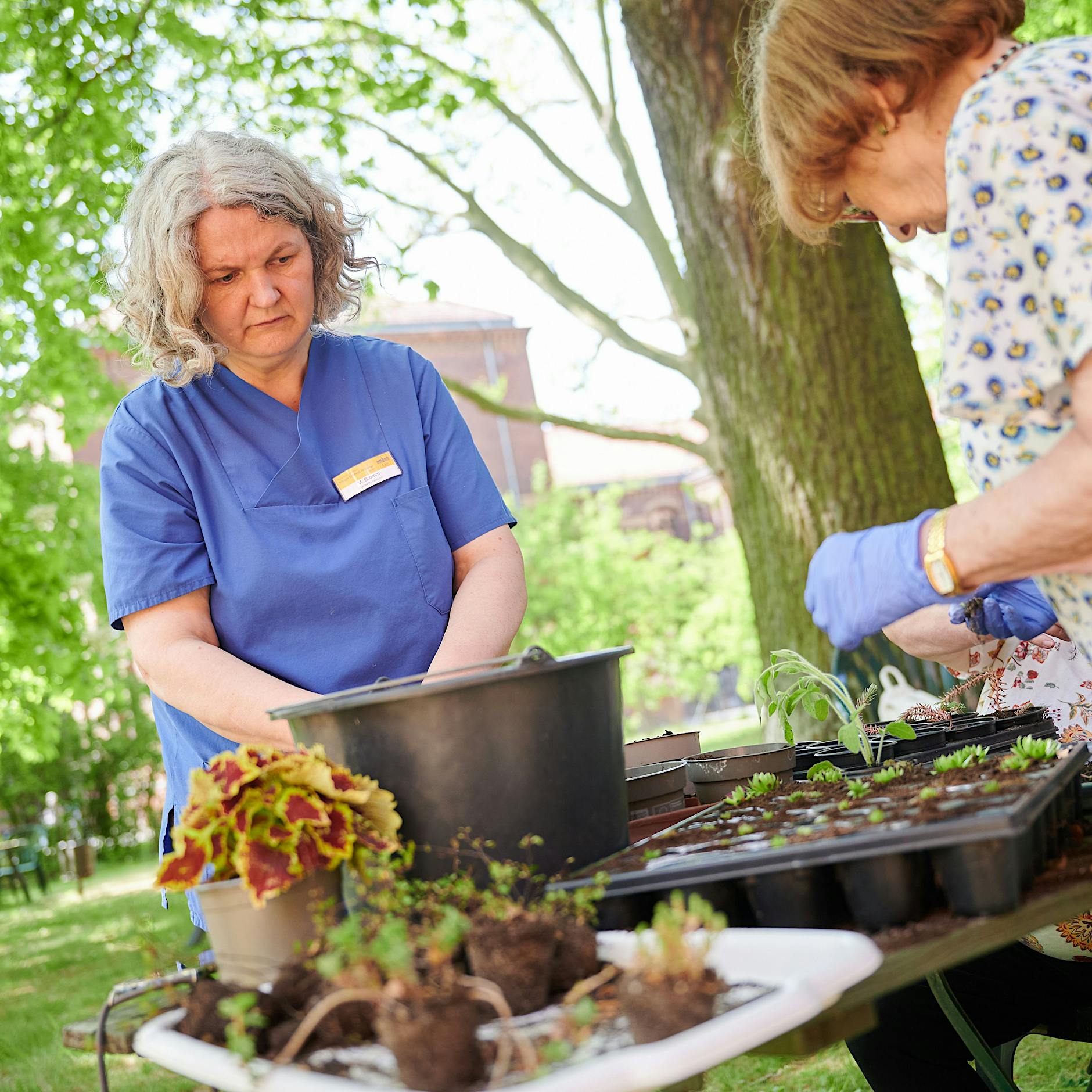 Angststörung, Demenz, Depression: So effektiv ist die Gartentherapie in Berlin