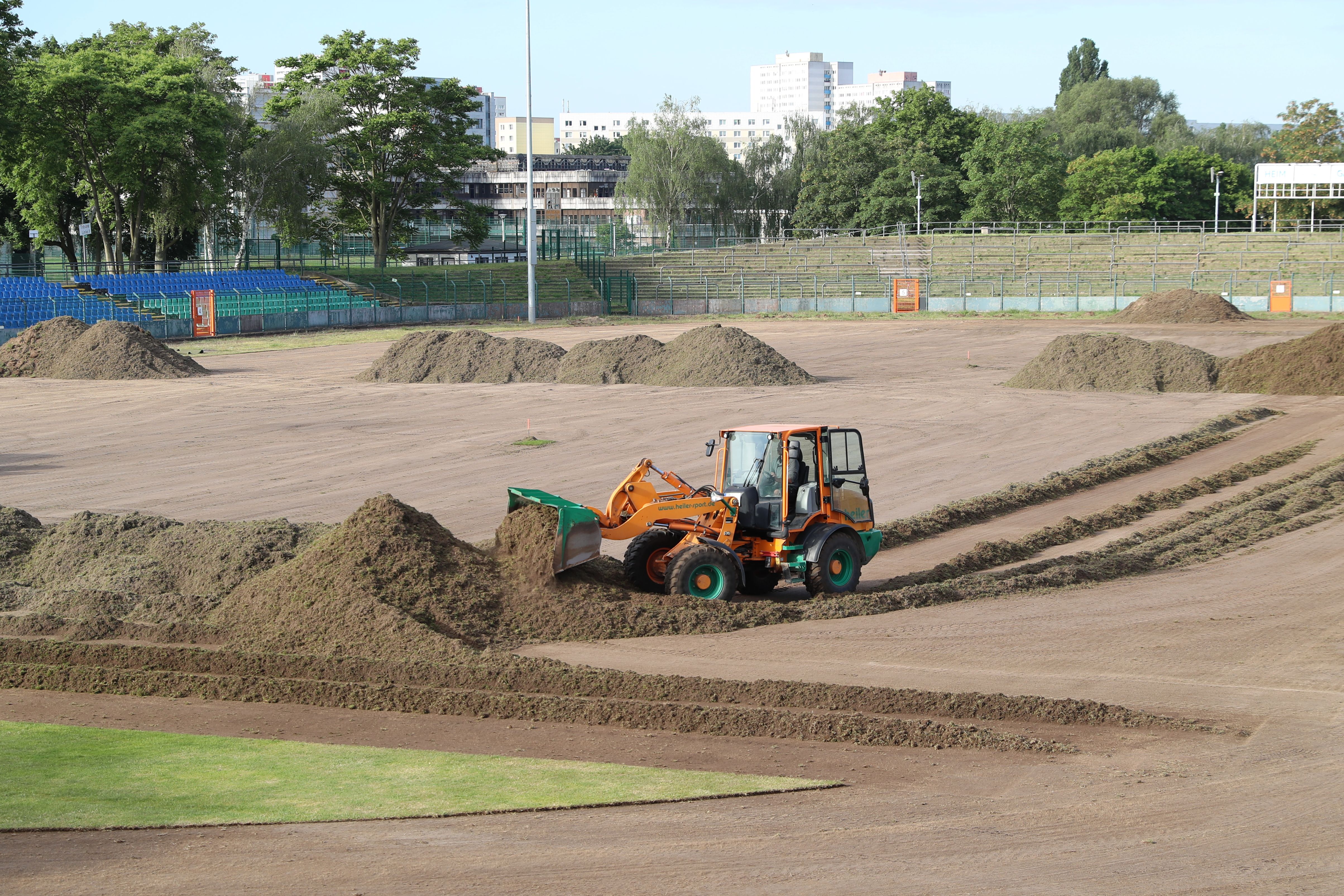 Für den Erfolg: BFC-Coach dreht jeden Grashalm um