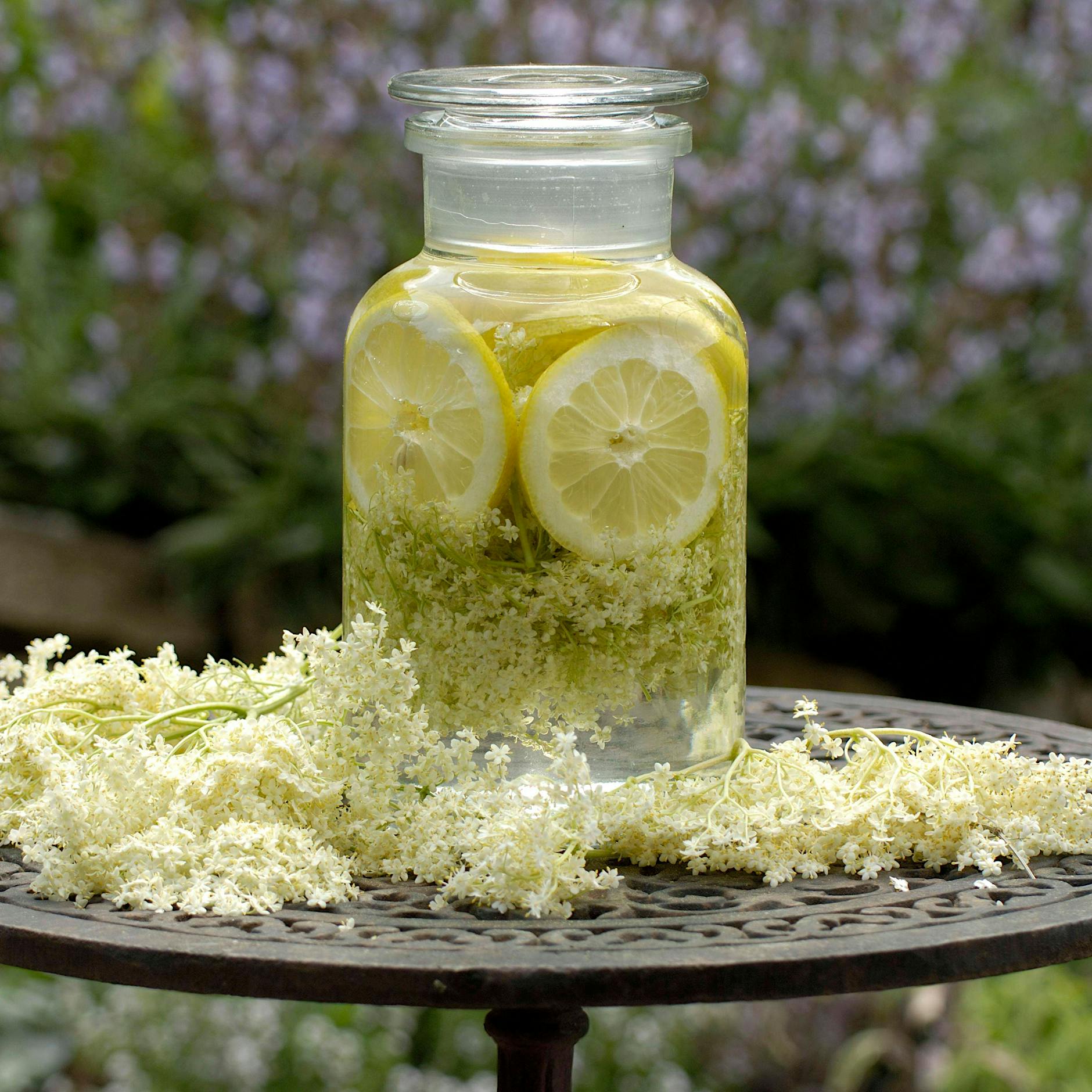 Sommerhit: Holunder richtig zubereiten. 3 Rezepte von Felix Hanika zum Genießen