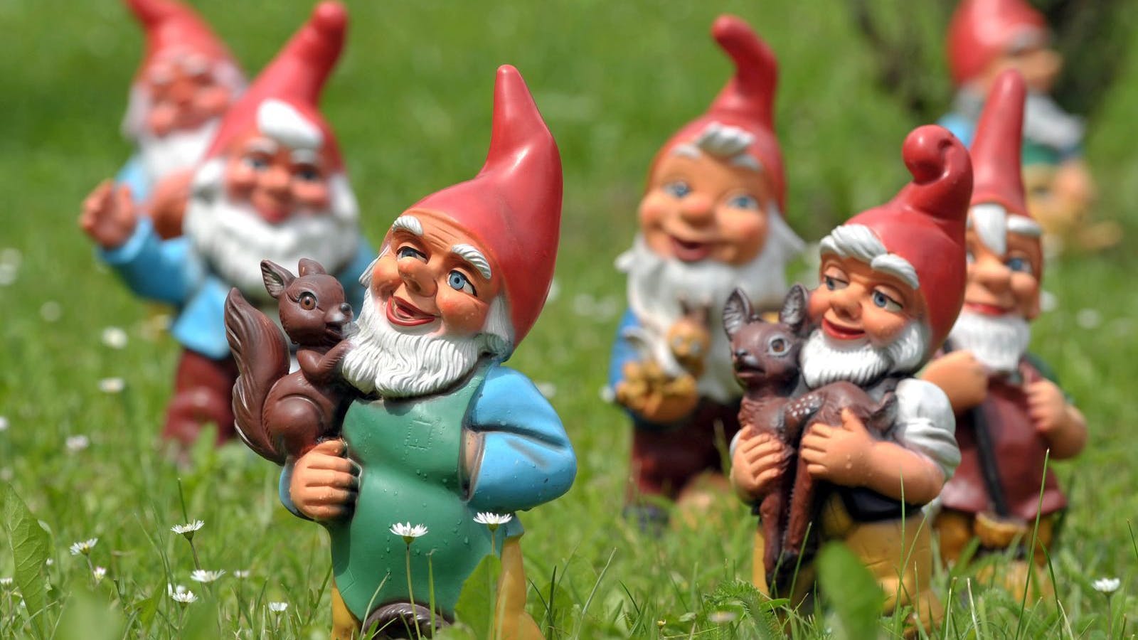 Spießige Bande: Gartenzwerge auf einer Wiese in Süddeutschland.