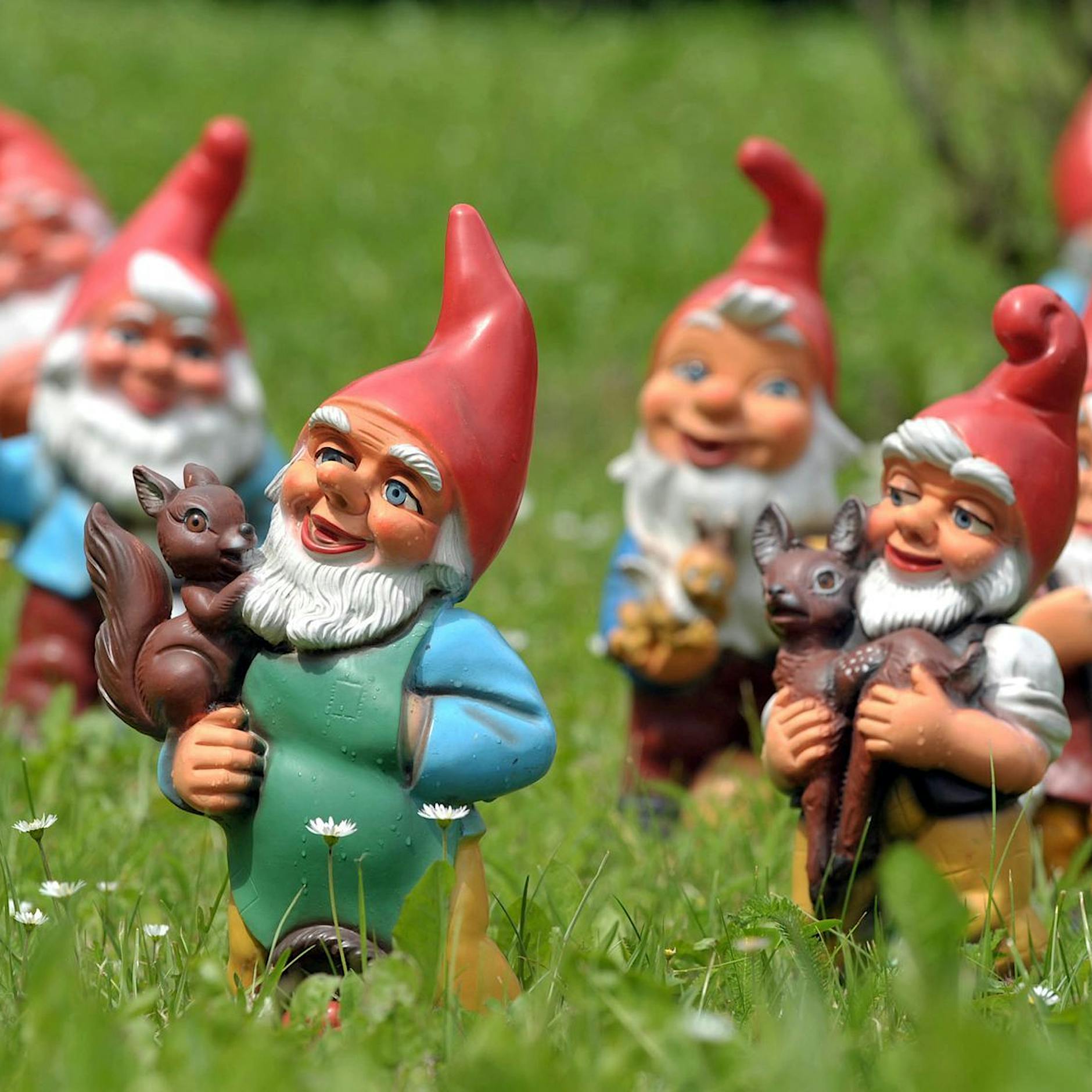 Boom der Gartenzwerge: Pandemiegewinner mit Zipfelmütze