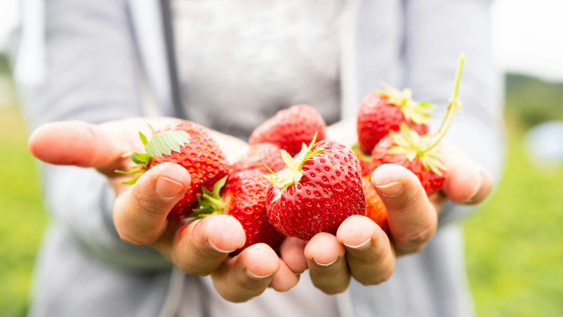 Erdbeeren sind süß, fruchtig - und schmecken auf dem Kuchen richtig lecker! Probieren Sie mal dieses Rezept für Streuselkuchen...