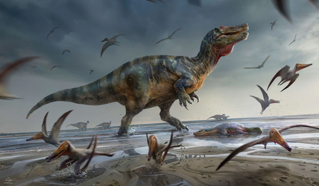 Dinosaurier: Fund in Bayern bringt neue Erkenntnisse zum Aussterben