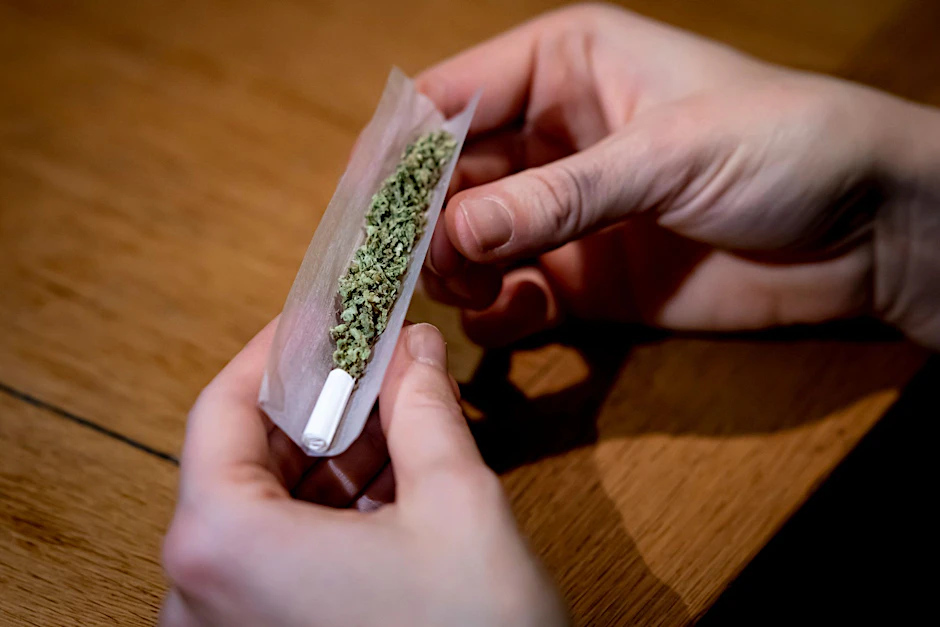 Die Ampelkoalition nahm die Cannabis-Freigabe in den Koalitionsvertrag auf. (Symbolbild)