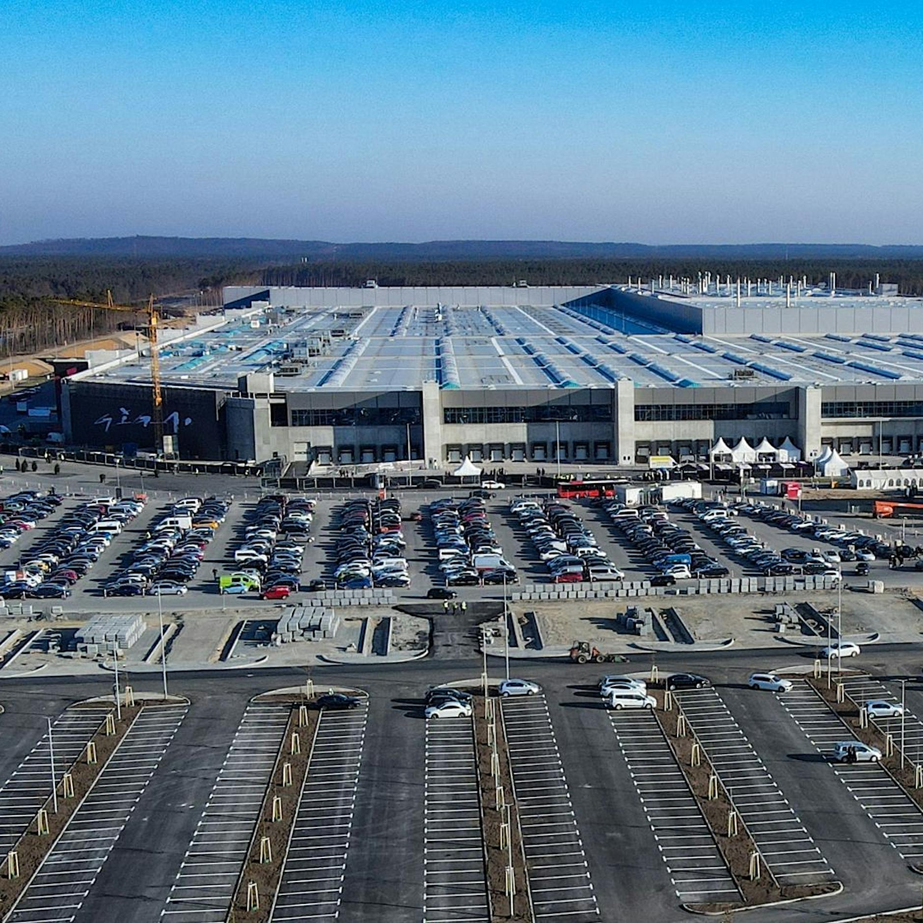 Tesla-Fabrik: Umweltverbände sehen Wasserversorgung von Berlin in Gefahr
